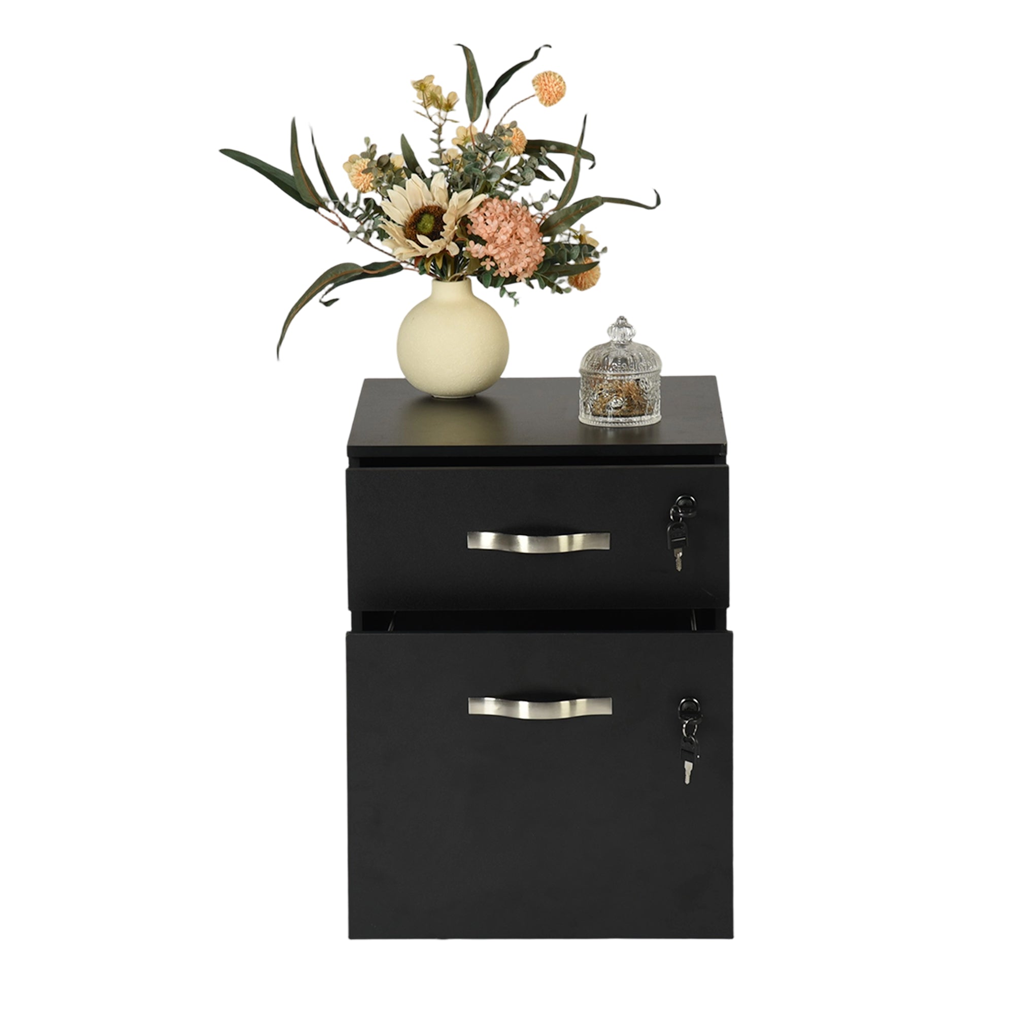 KASSADIN 2 Drawer Mobile File Cabinet, Locking Metal Filing Cabinet on Wheels for Home Office, Black Pedestal with Keys