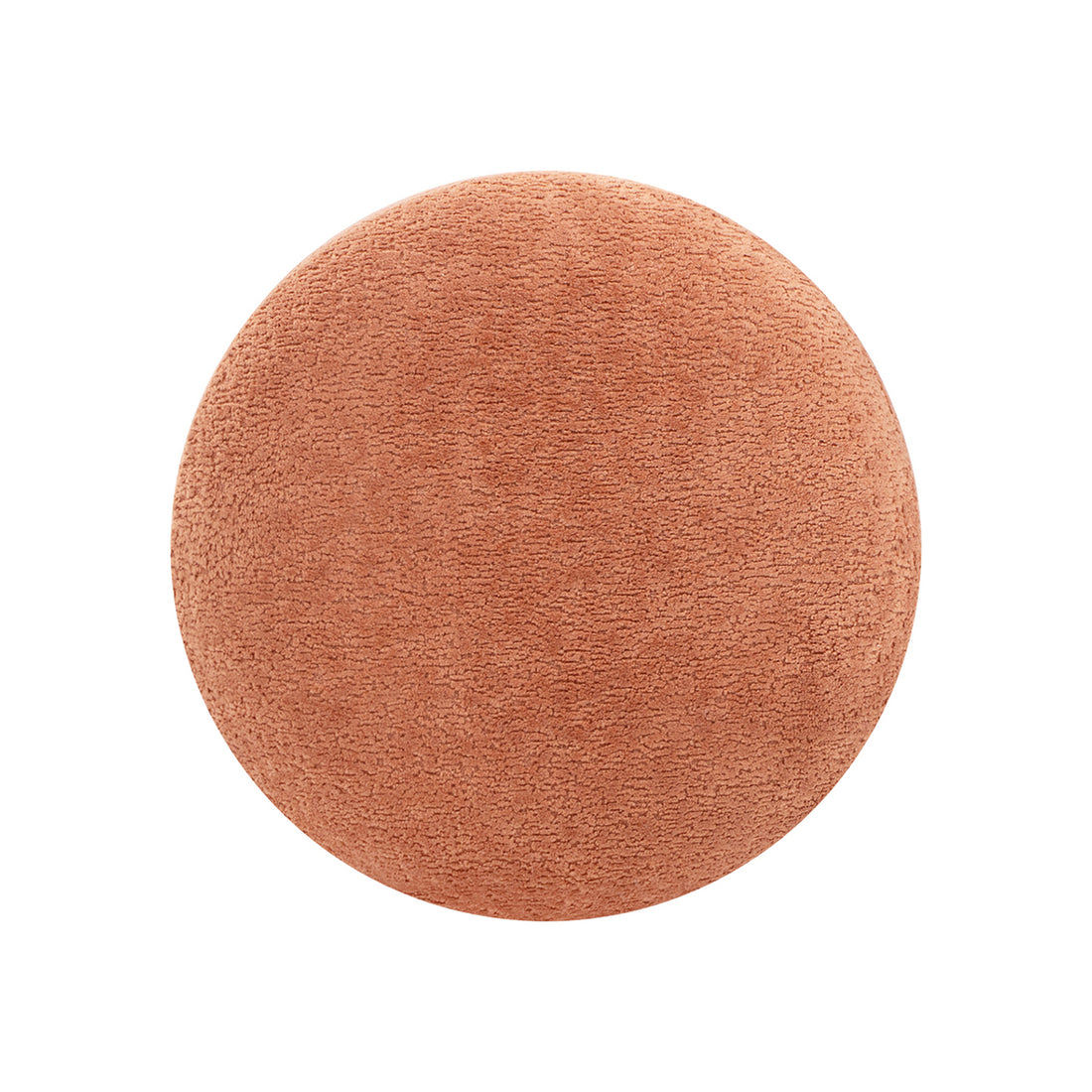Plush Teddy Fabric