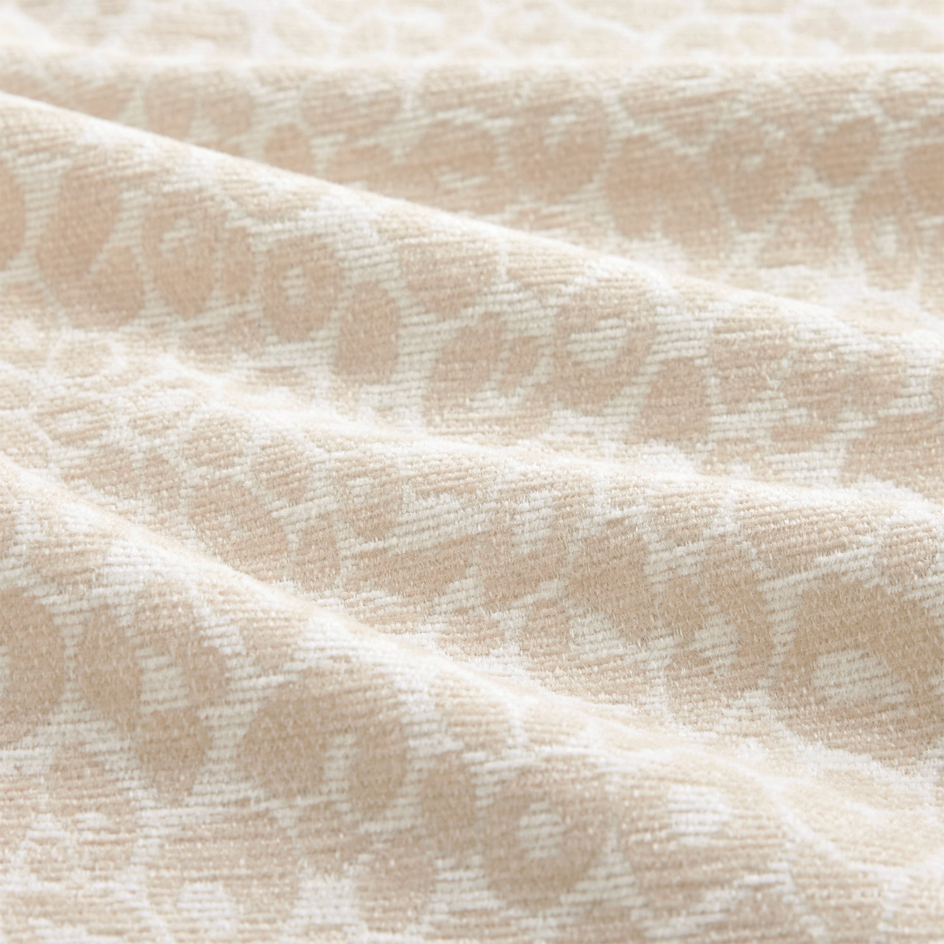 2604130000019_media_6