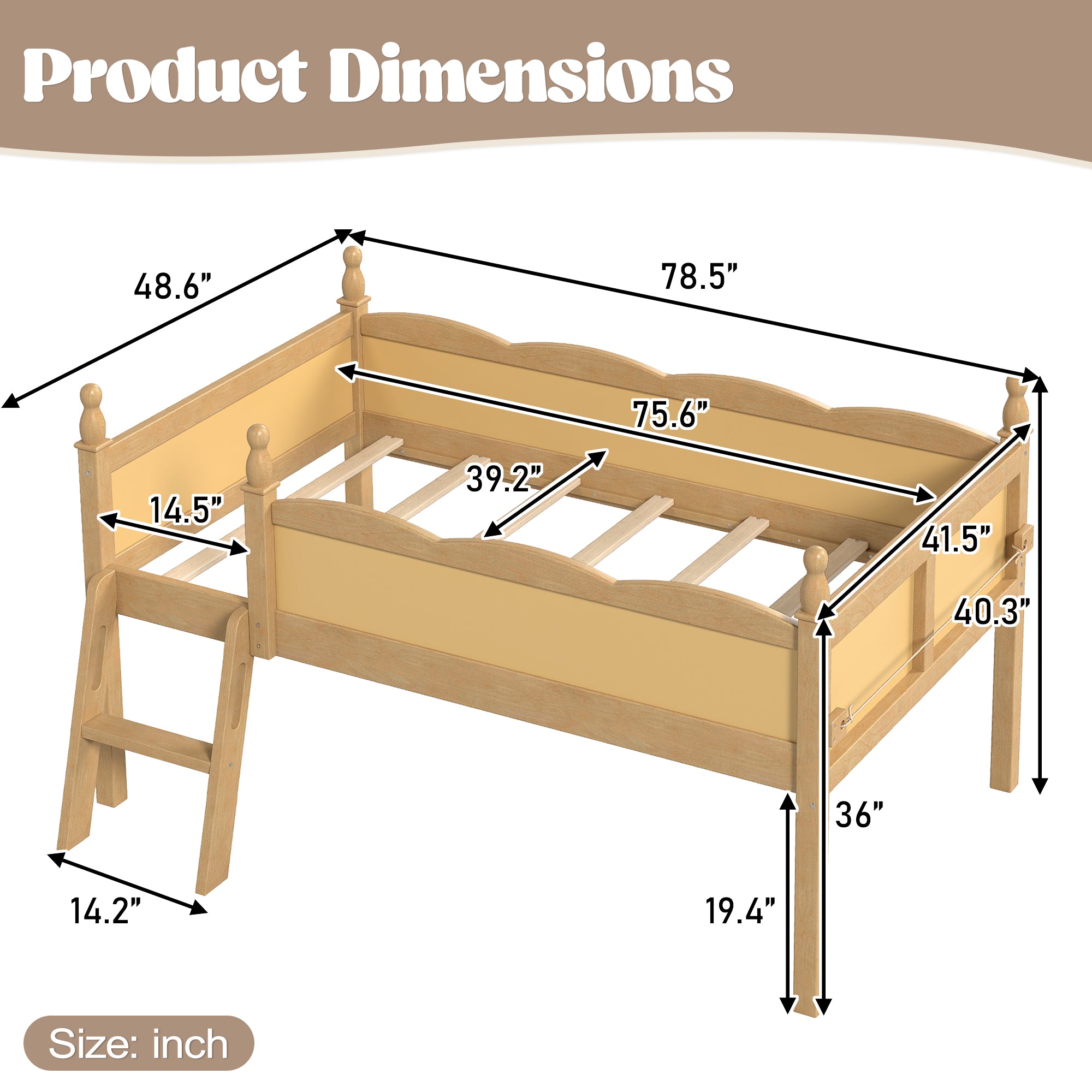 2607300000210_media_4_dimensions