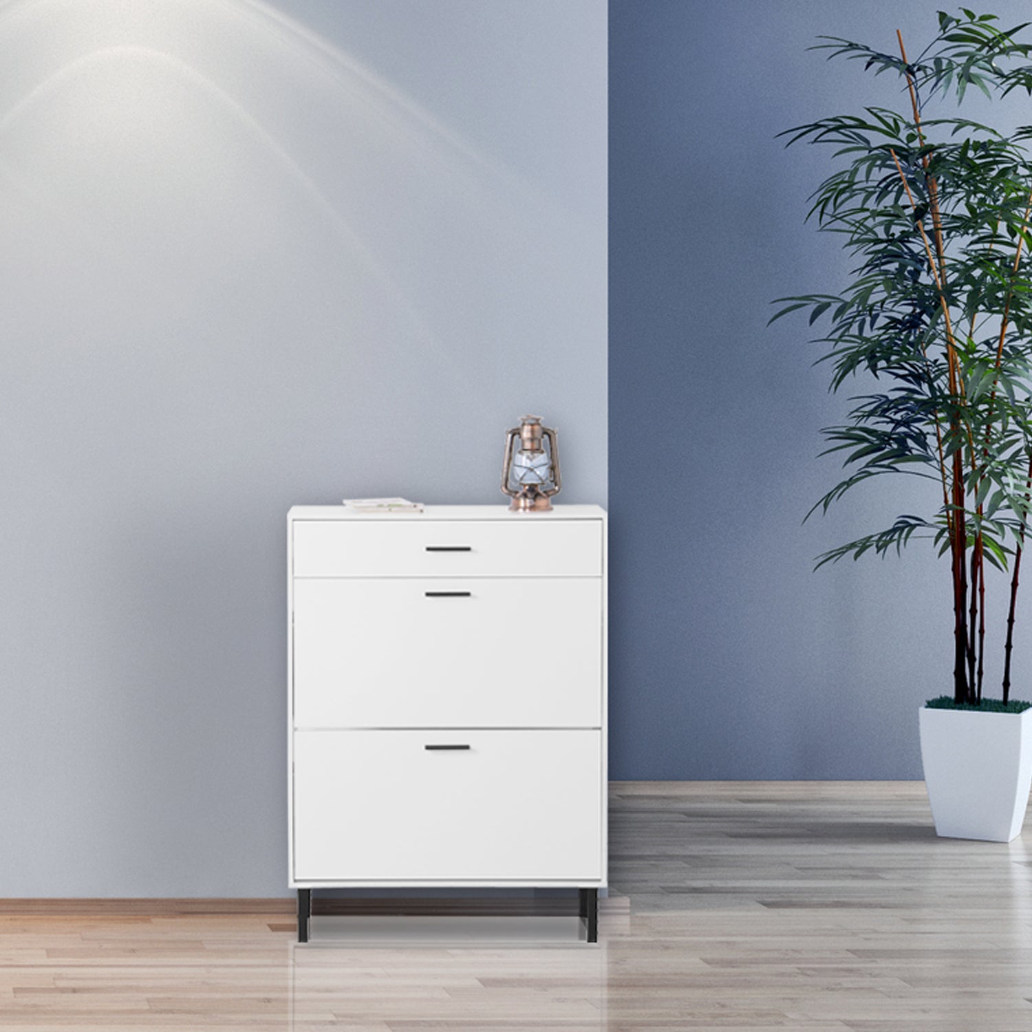Harbor Modern Shoe Storage Cabinet with Drawer, White