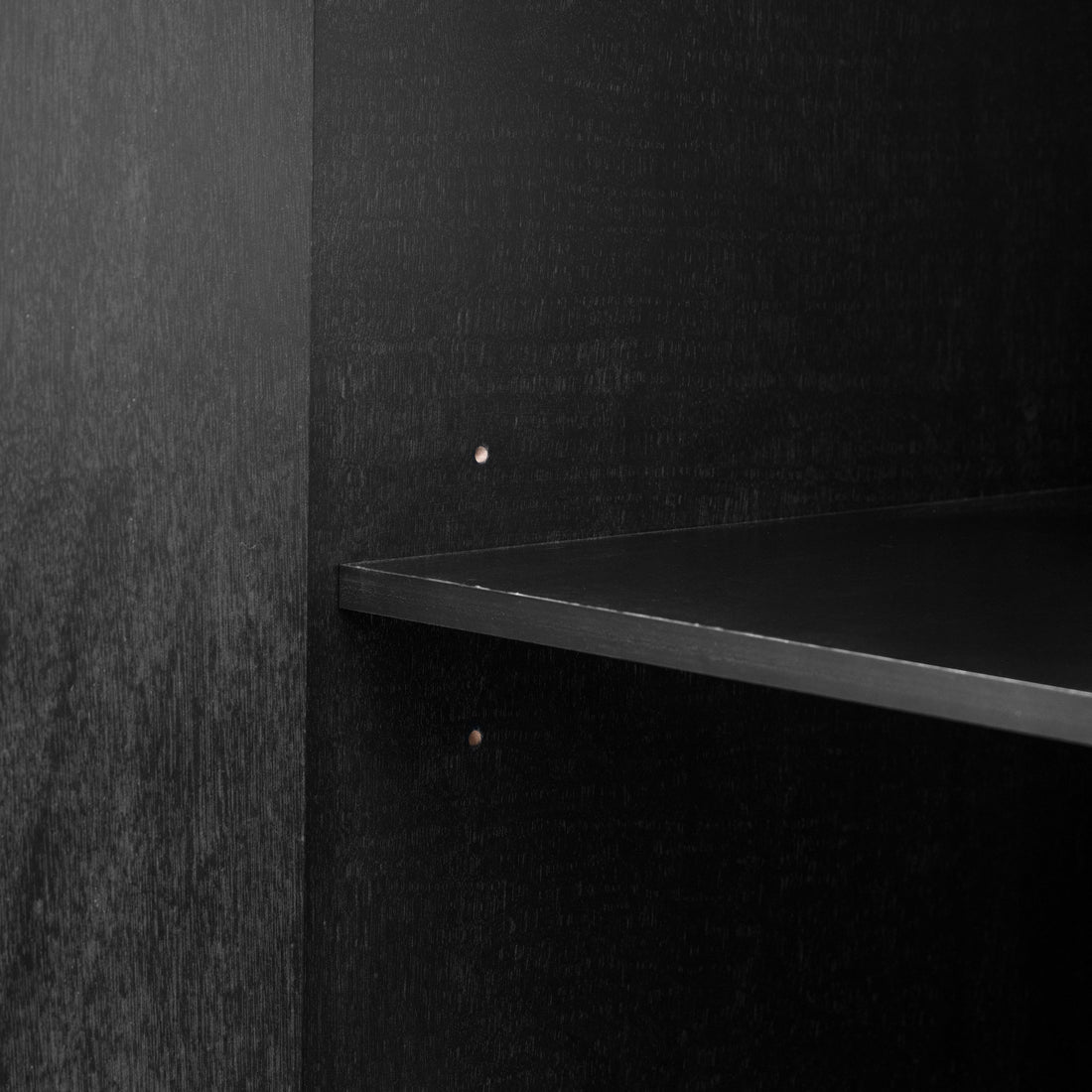 Adjustable Interior Shelves