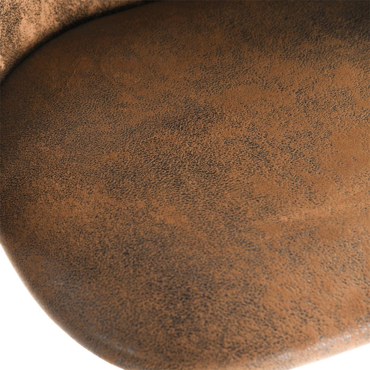 2401120000006_media_6