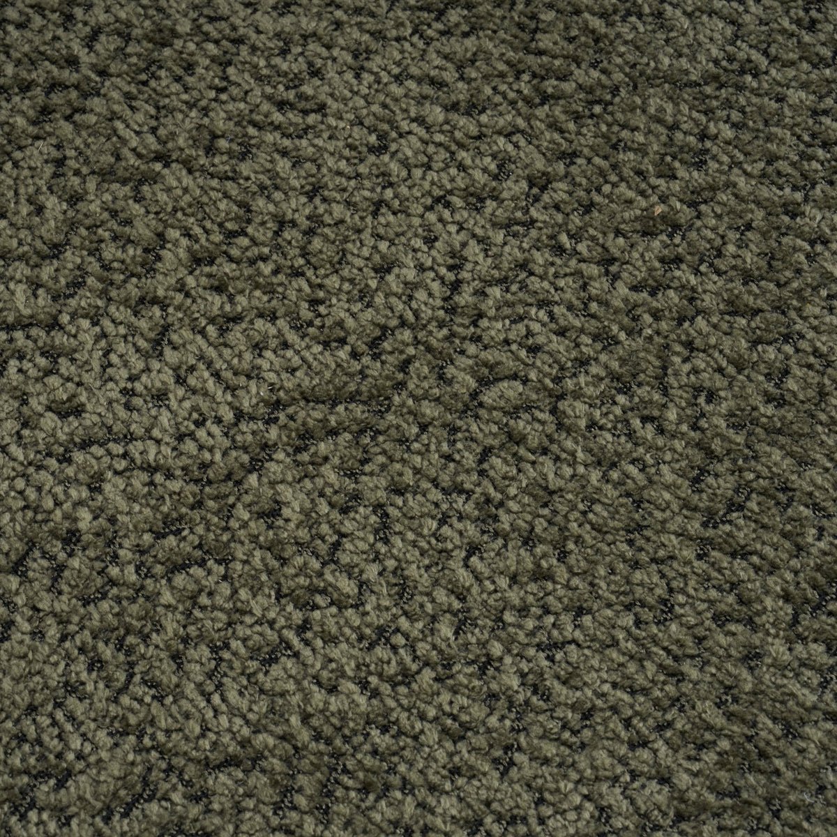 2609110000025_media_3_detail