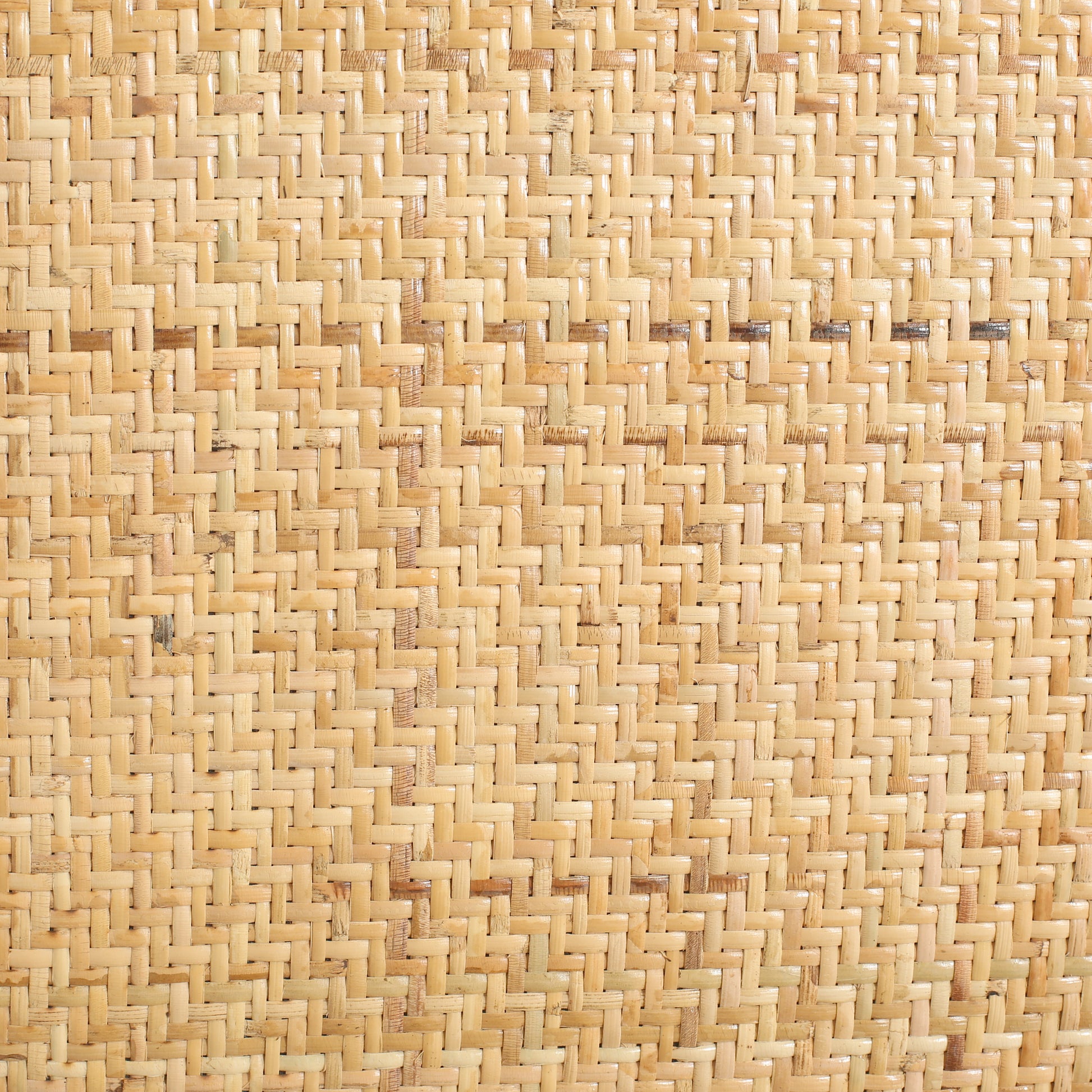 2606030000120_media_16_detail