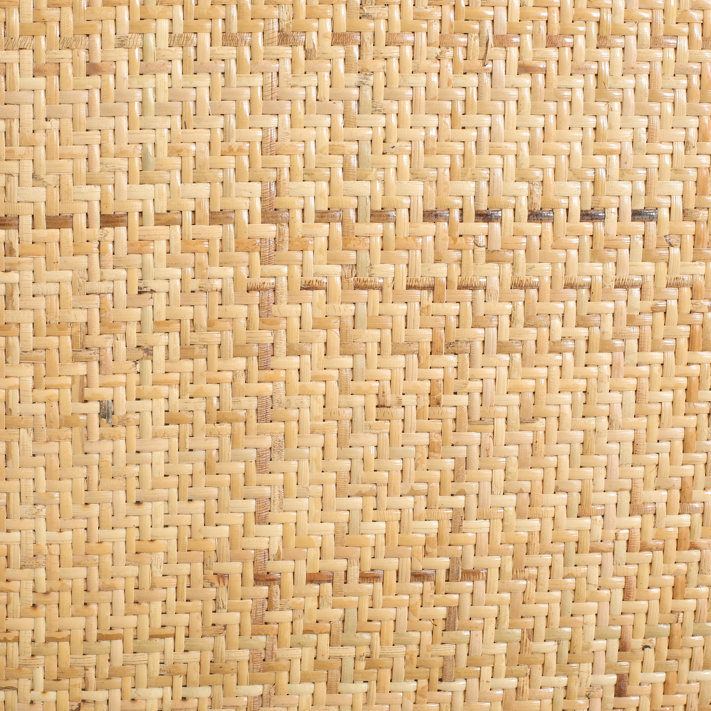 2606030000120_media_16_detail