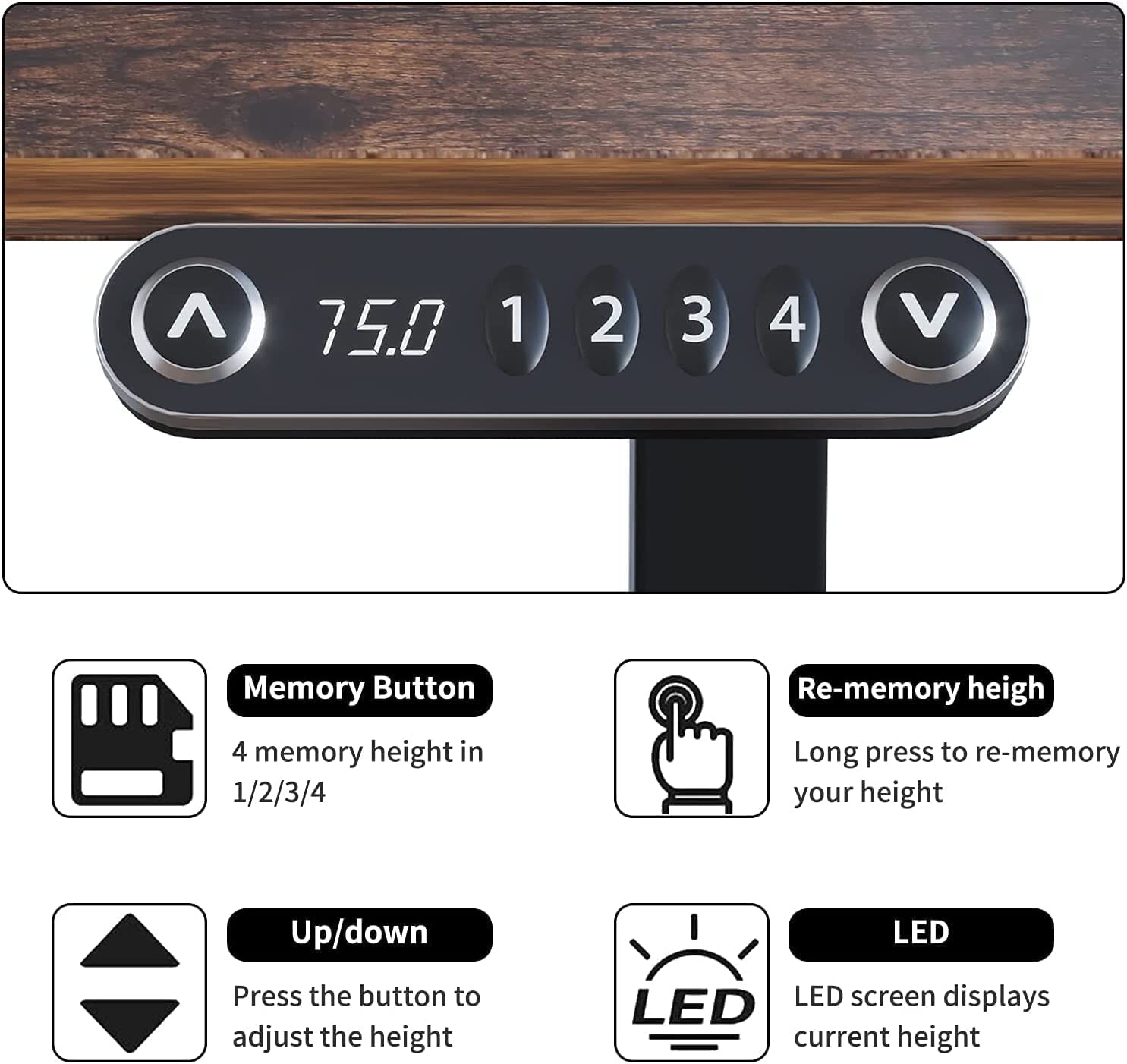 Arvo 63" Dual Motor Electric Standing Desk with Curved Desktop