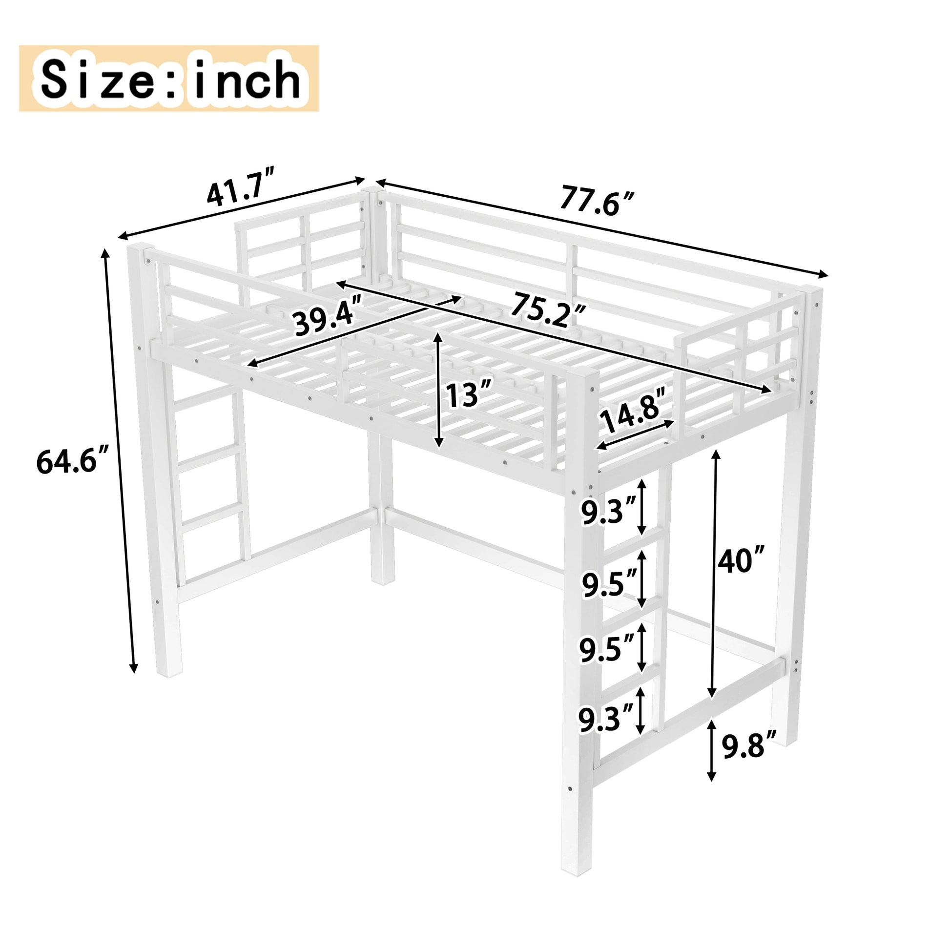 2607310000046_media_3_dimensions
