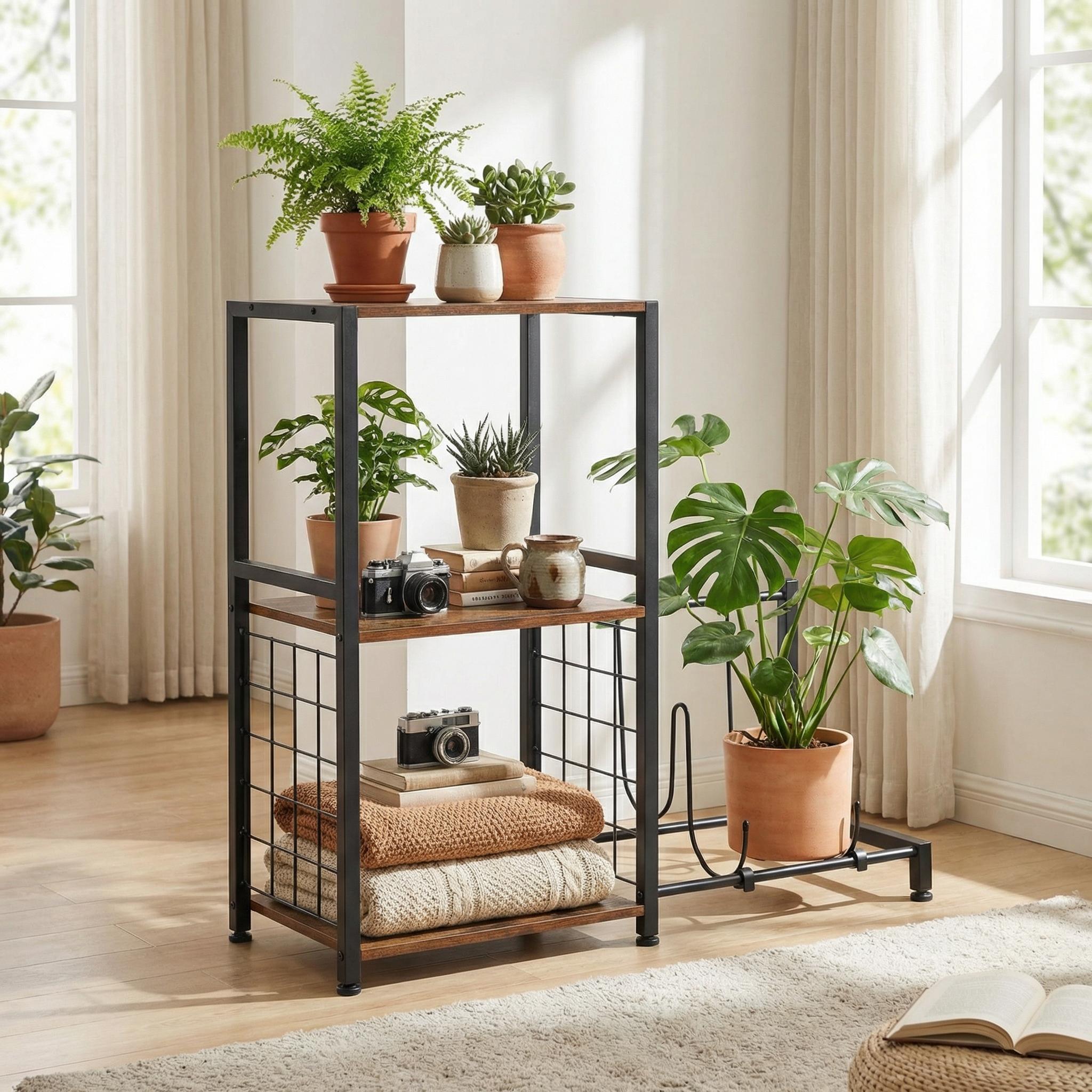 2501090000009_media_2