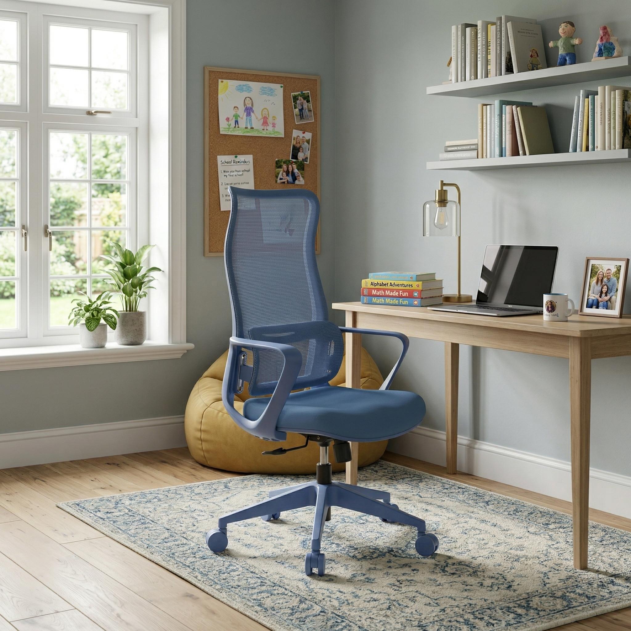 Axen Ergonomic Mesh Office Chair with Lumbar Support