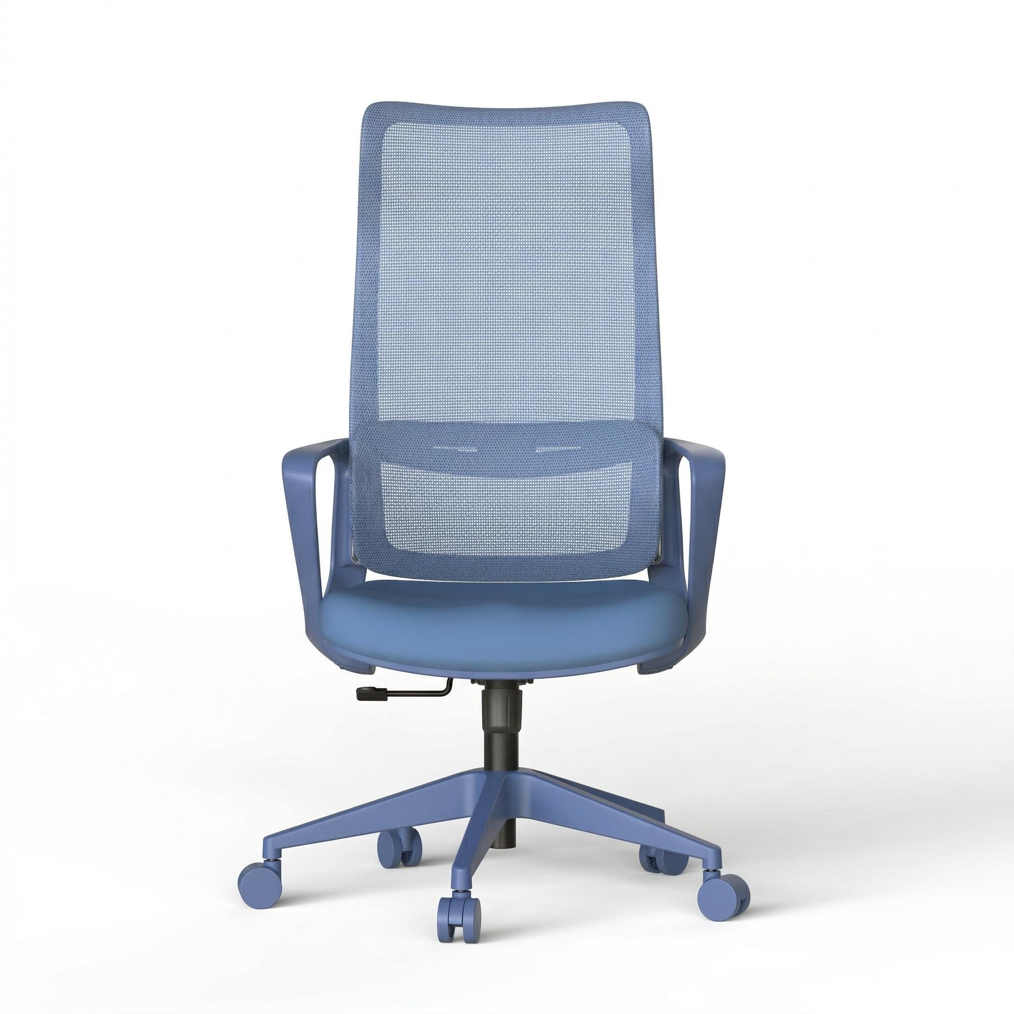 Axen Ergonomic Mesh Office Chair with Lumbar Support