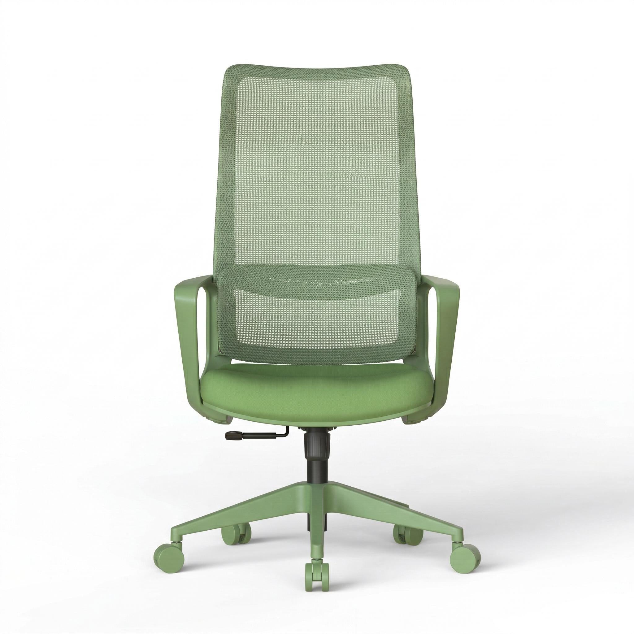 Axen Ergonomic Mesh Office Chair with Lumbar Support