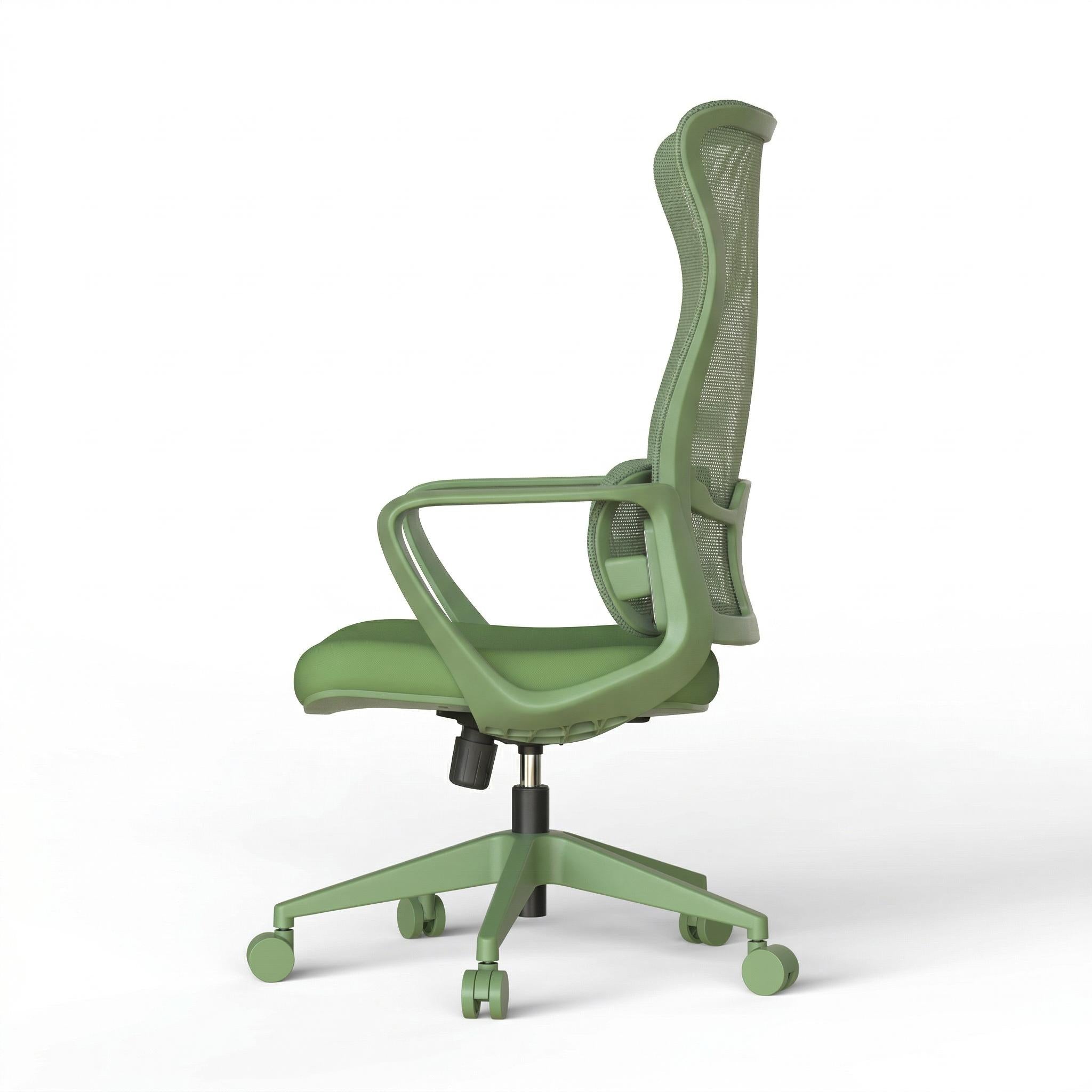 Axen Ergonomic Mesh Office Chair with Lumbar Support