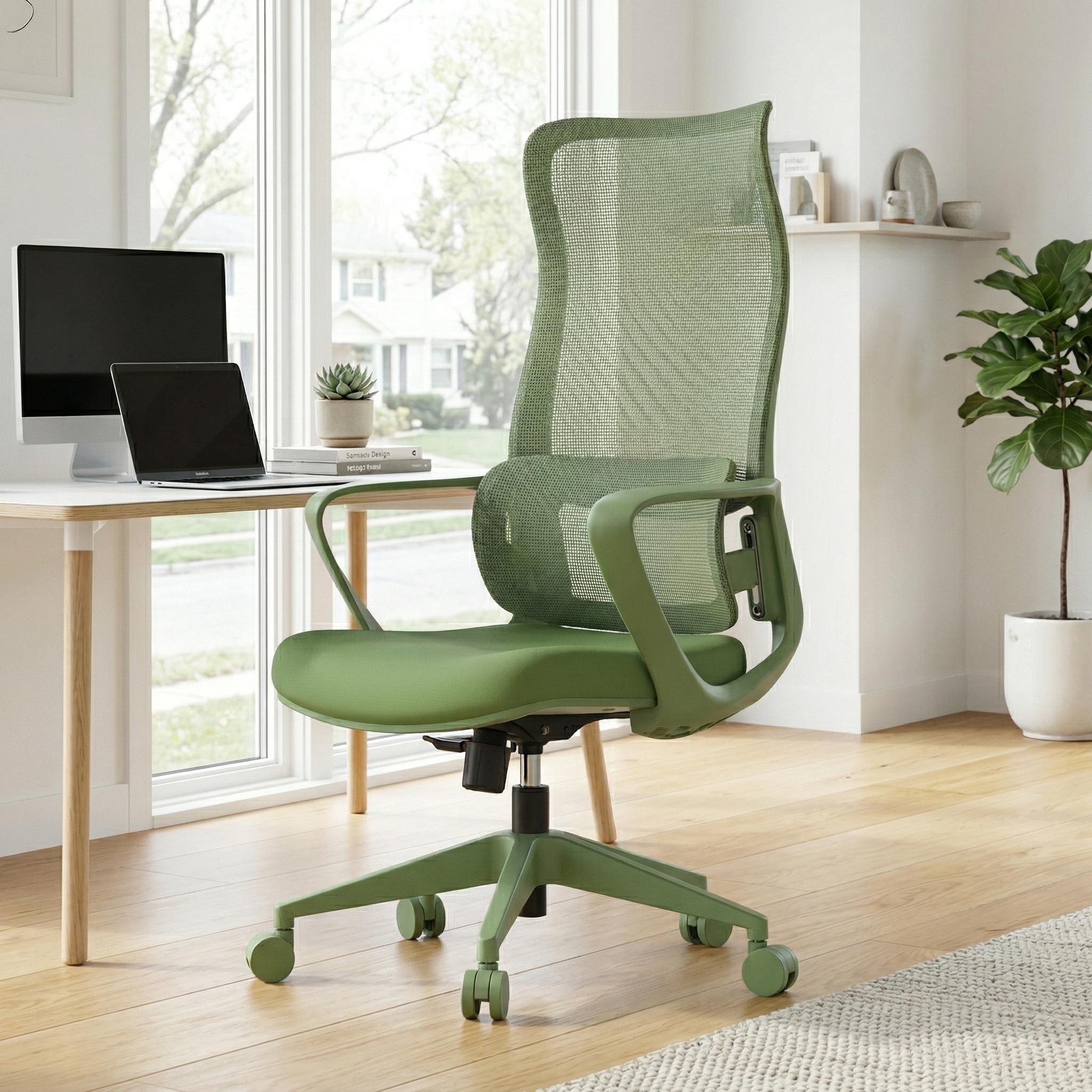 Axen Ergonomic Mesh Office Chair with Lumbar Support