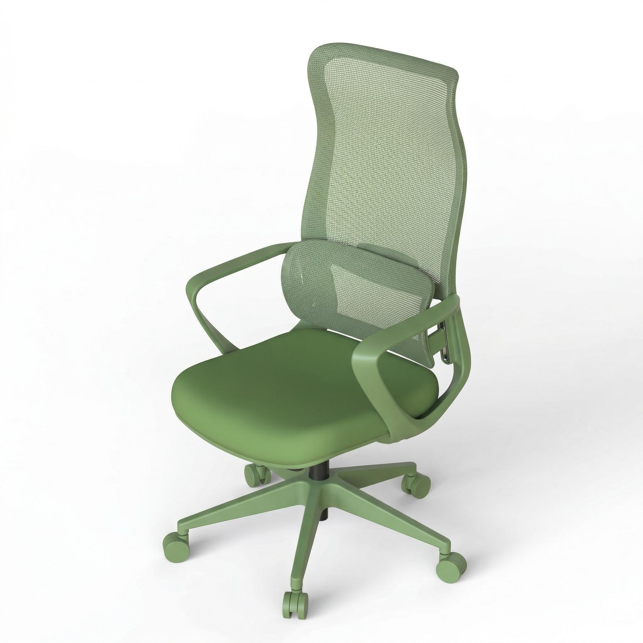 Axen Ergonomic Mesh Office Chair with Lumbar Support