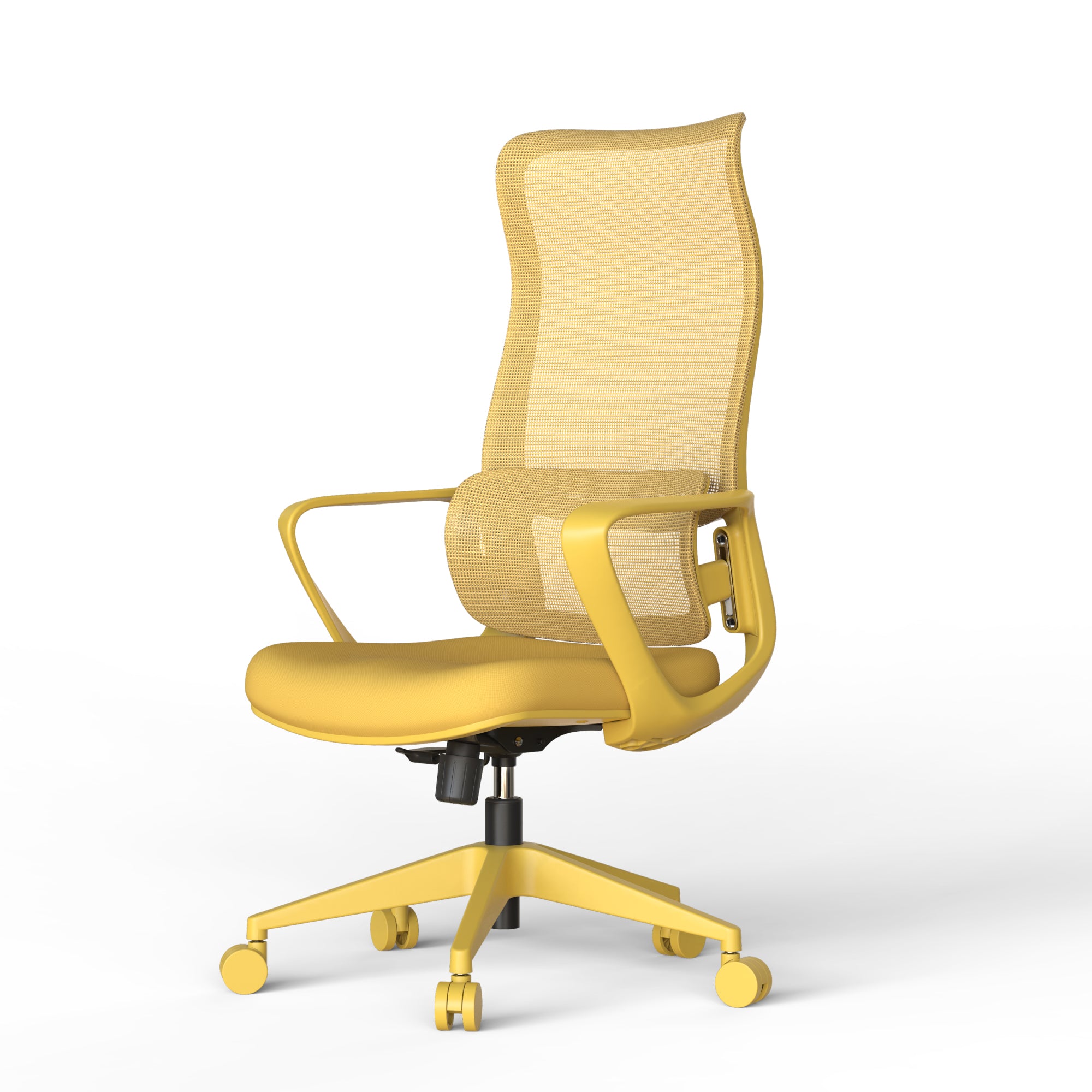 Axen Ergonomic Mesh Office Chair with Lumbar Support