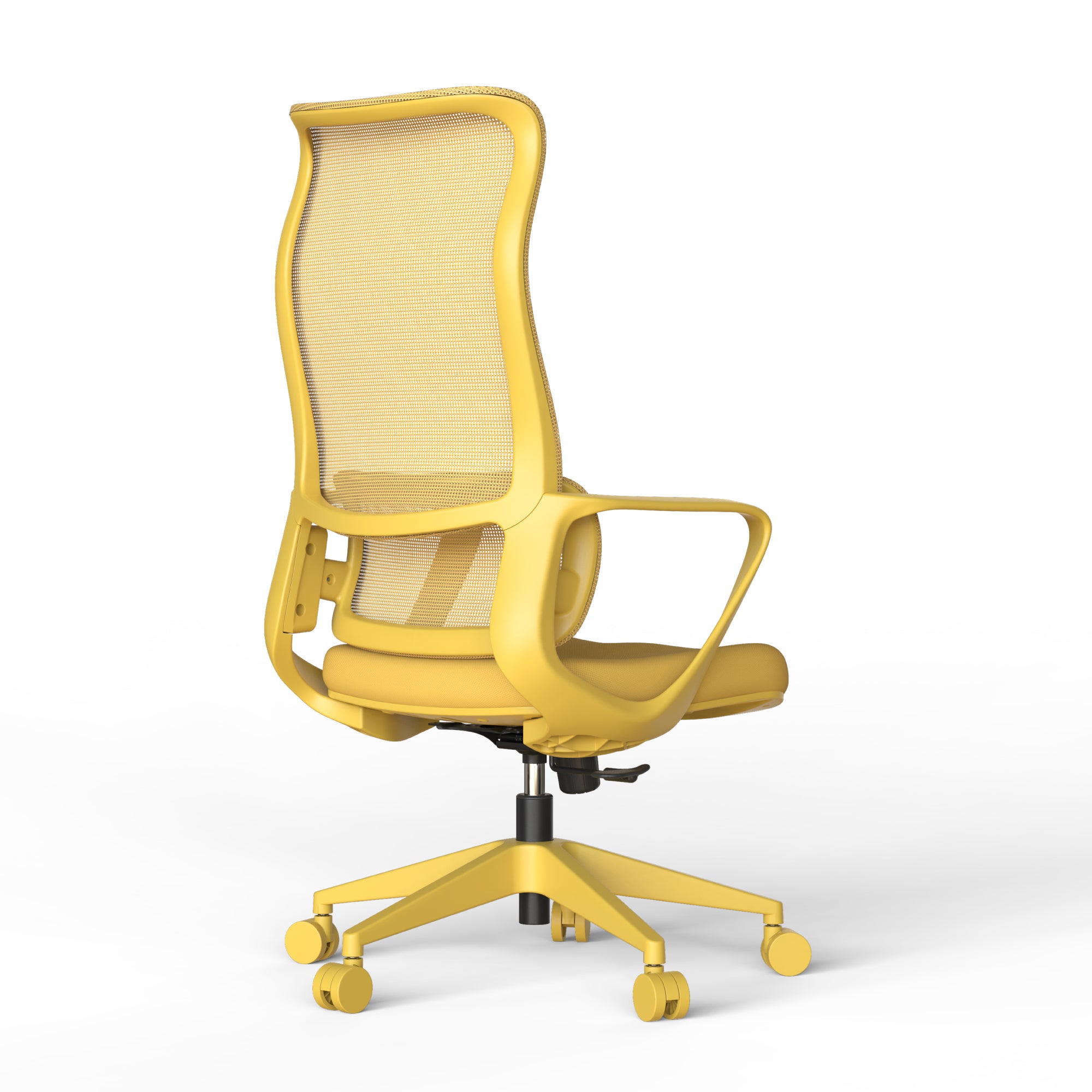 Axen Ergonomic Mesh Office Chair with Lumbar Support