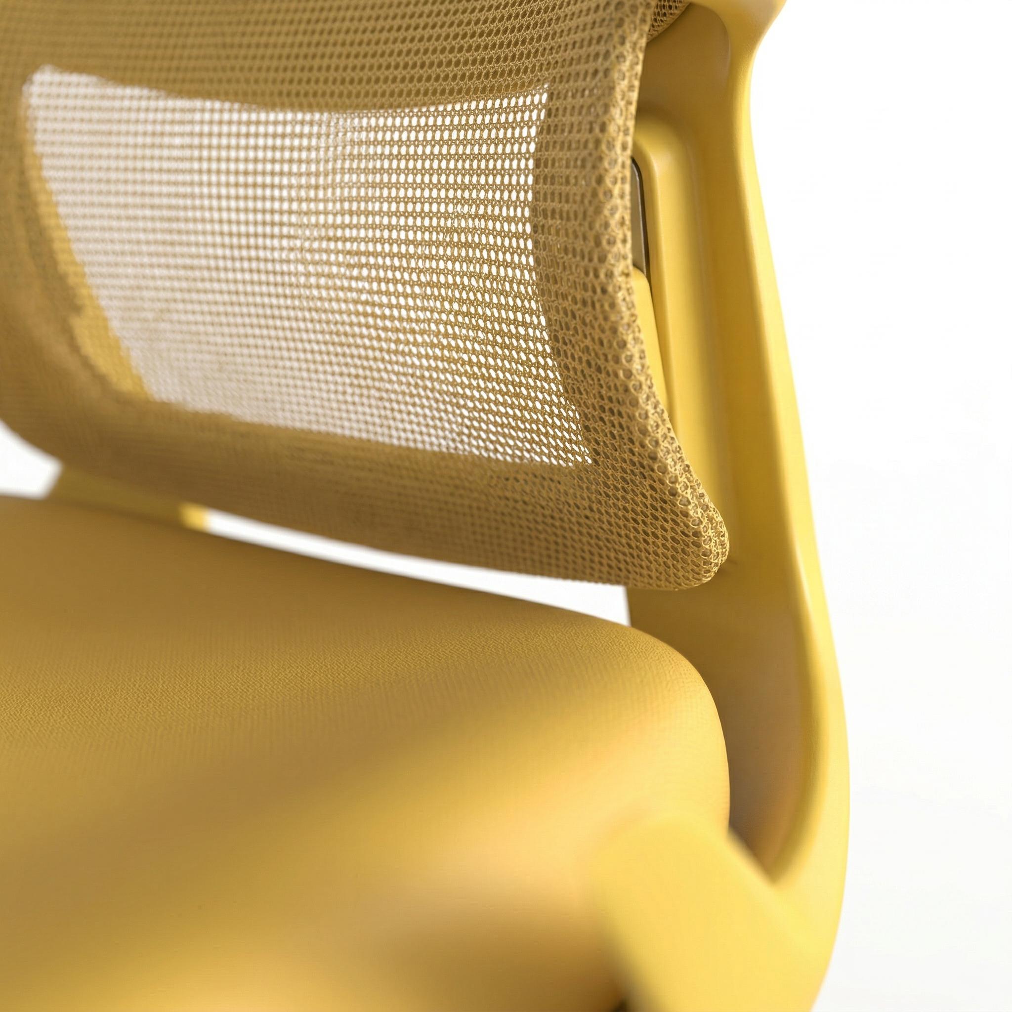 Axen Ergonomic Mesh Office Chair with Lumbar Support