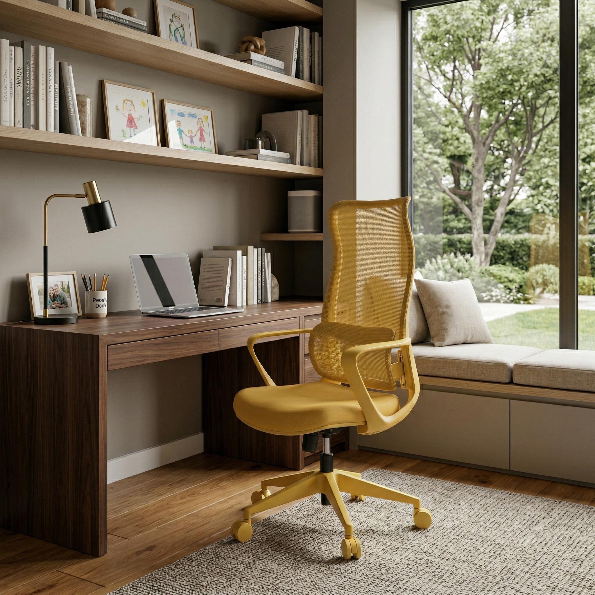 Axen Ergonomic Mesh Office Chair with Lumbar Support