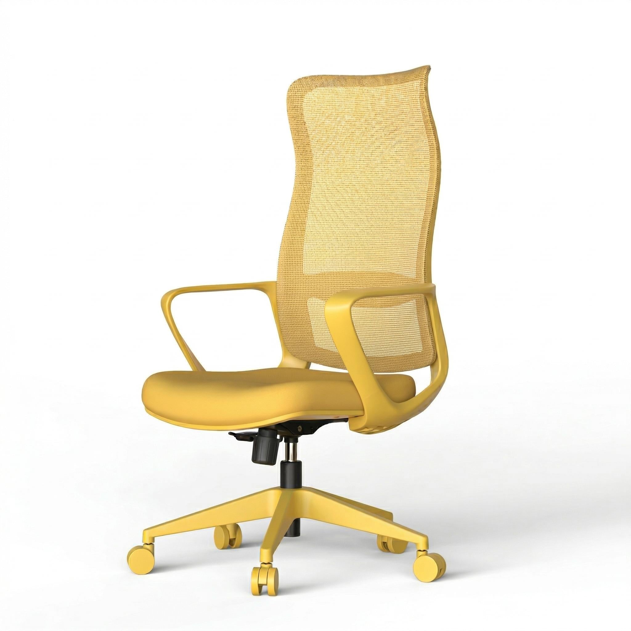 Axen Ergonomic Mesh Office Chair with Lumbar Support