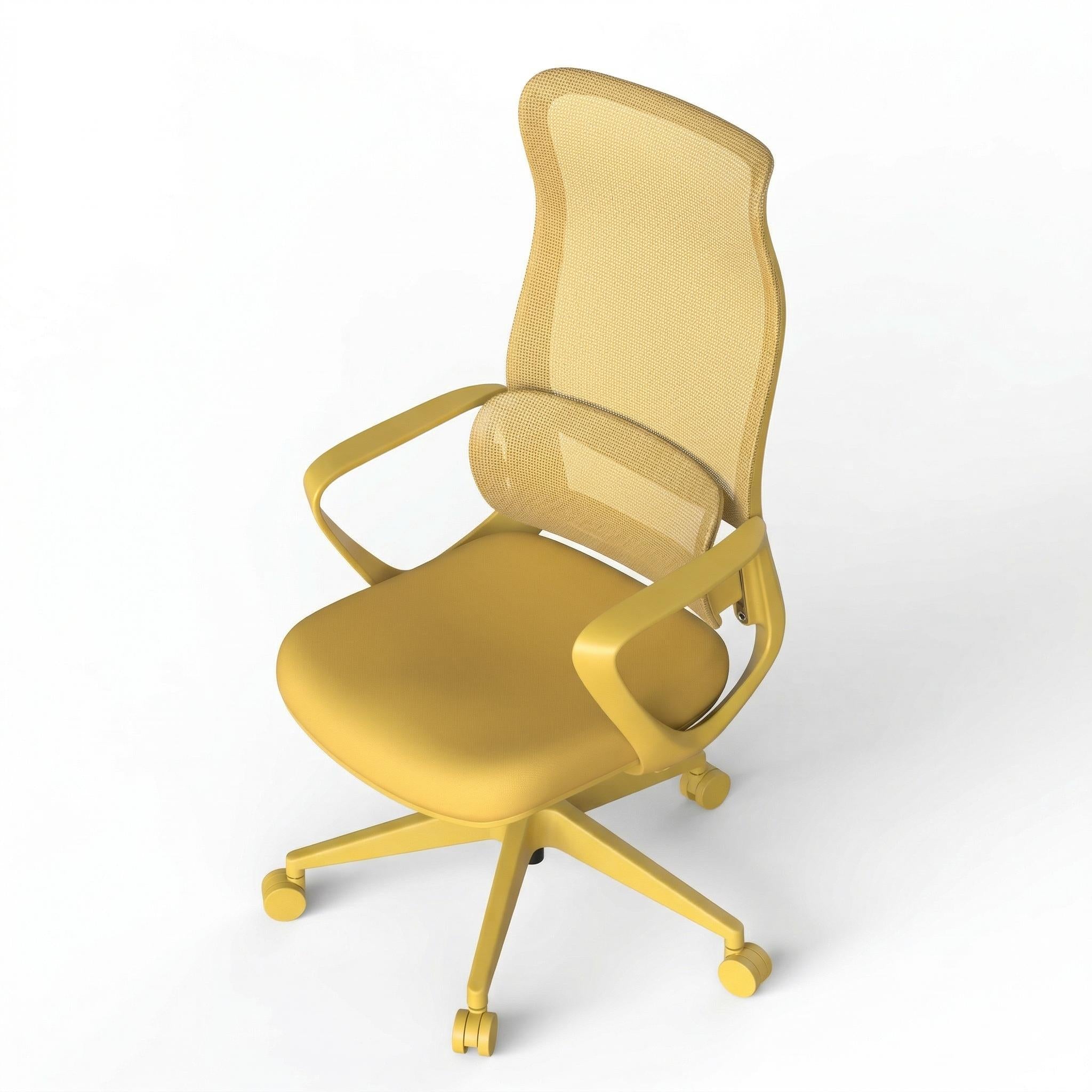 Axen Ergonomic Mesh Office Chair with Lumbar Support