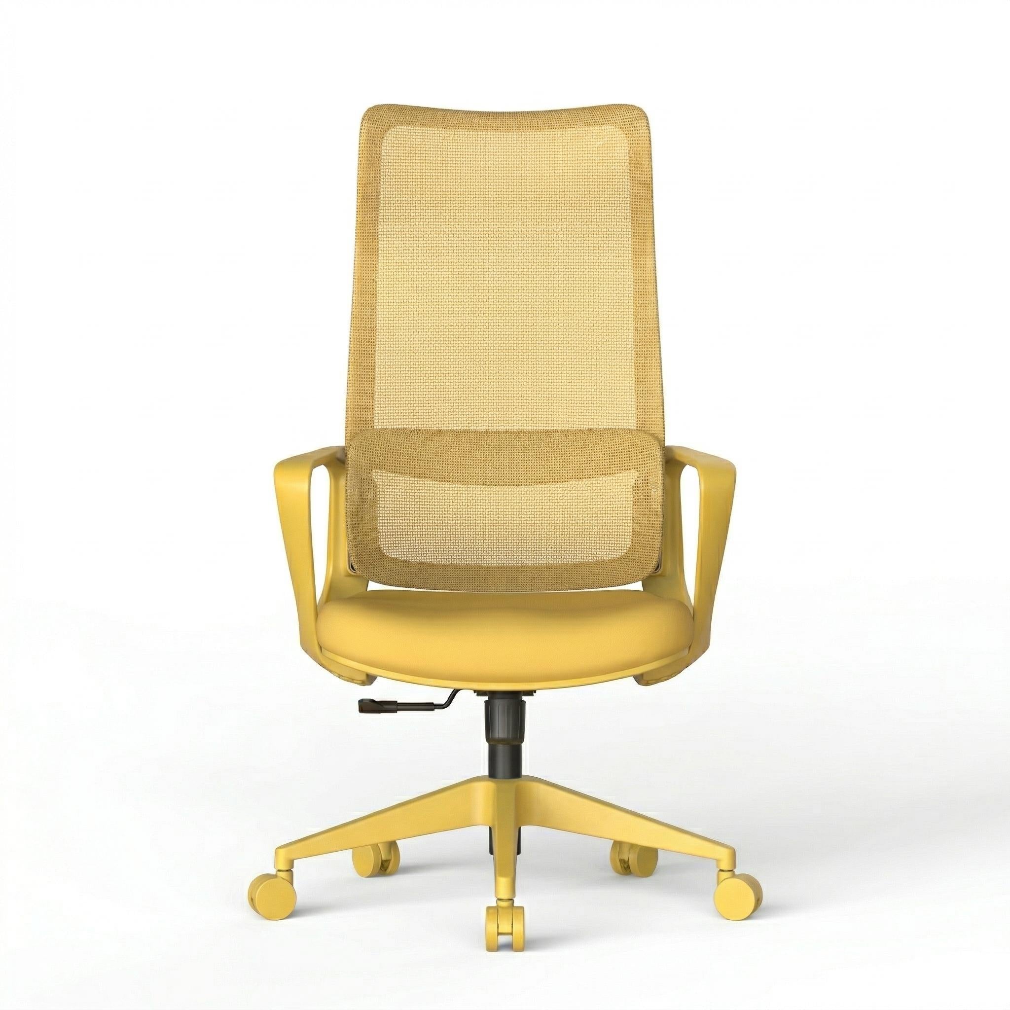 Axen Ergonomic Mesh Office Chair with Lumbar Support