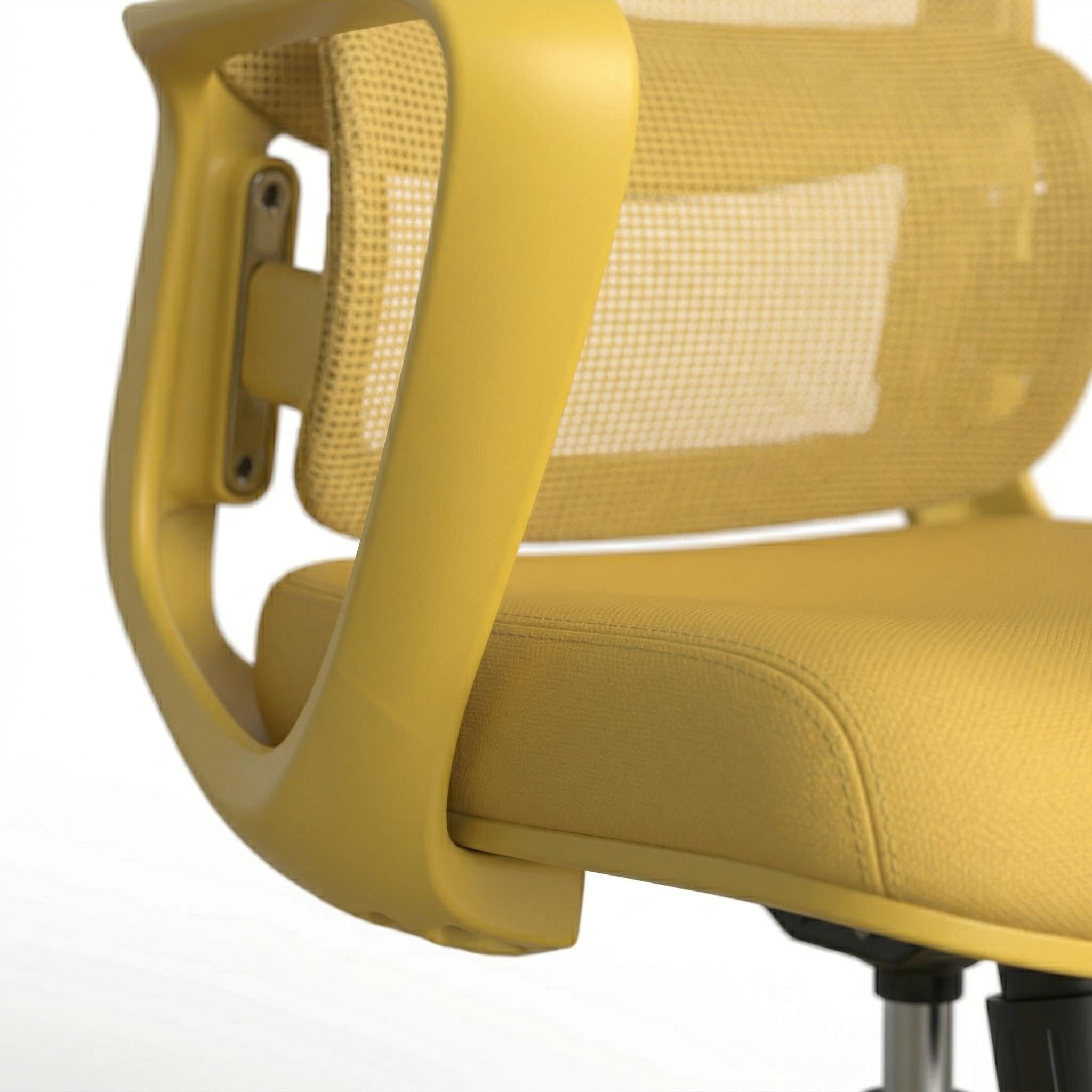 Axen Ergonomic Mesh Office Chair with Lumbar Support