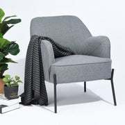 Dugan Modern Minimalist Design Grey Fabric Leisure Accent Chair