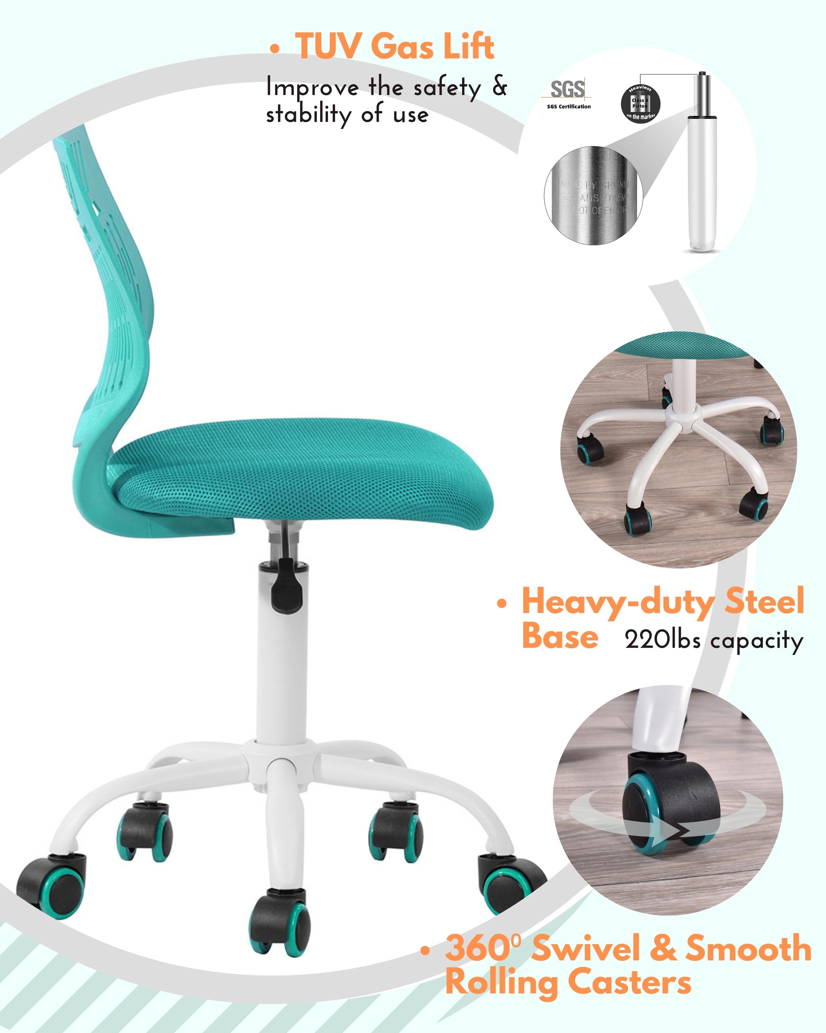 Homy Casa Favorsa Ergonomic Study Chair, Adjustable, Skeleton Backrest,Aqua