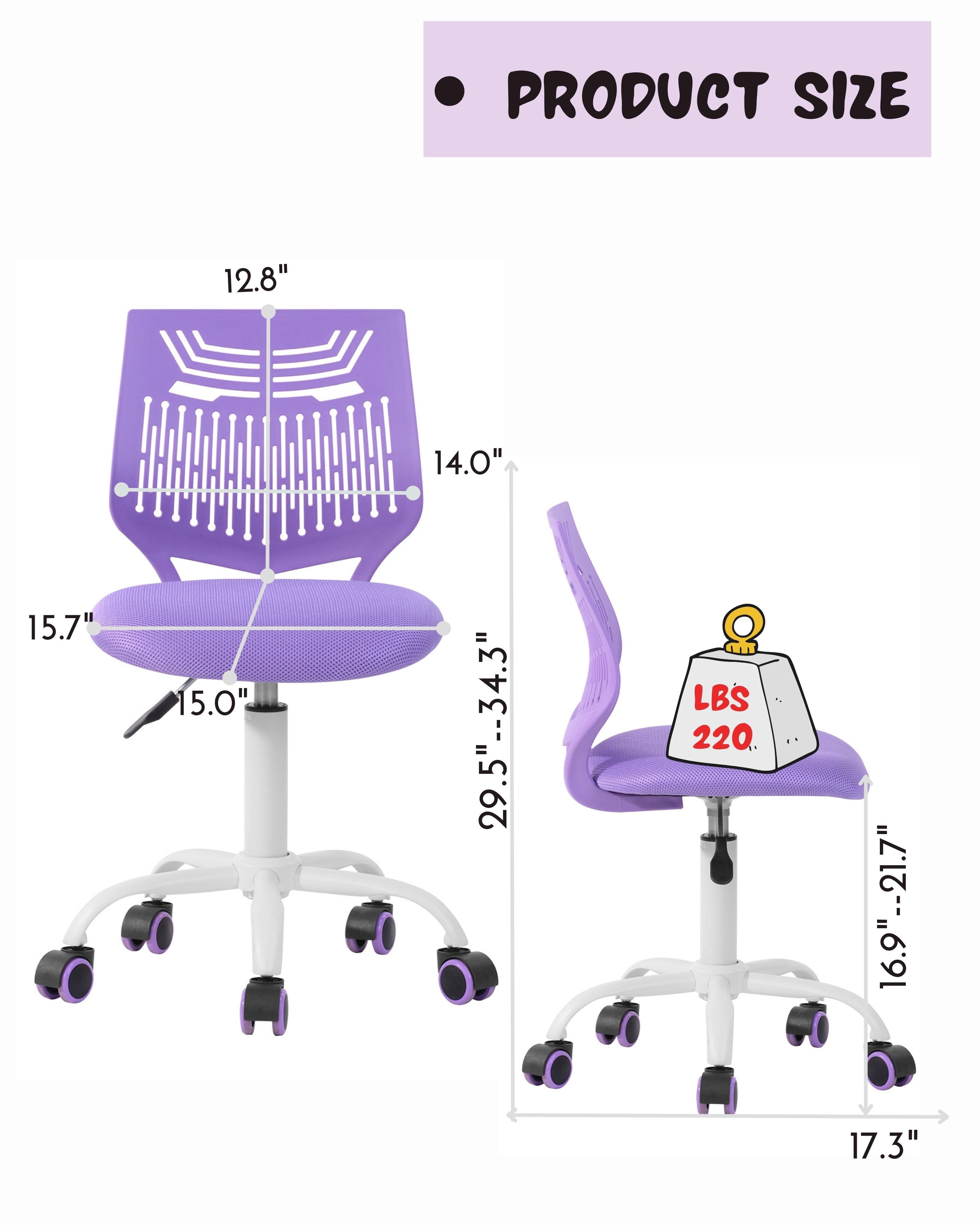 Favors Ergonomic Study Chair, Adjustable, Skeleton Backrest