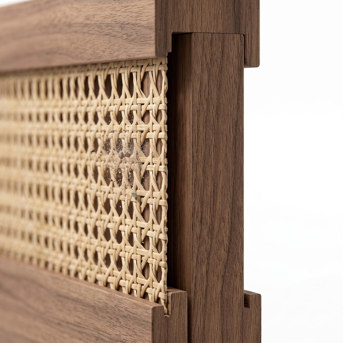 Dust-Shielded Back Panel