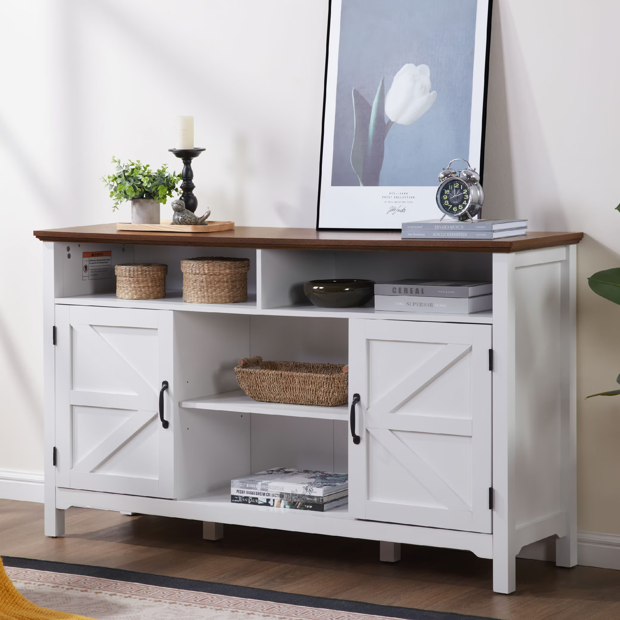 Trieste Modern Farmhouse TV Stand with Storage Cabinets