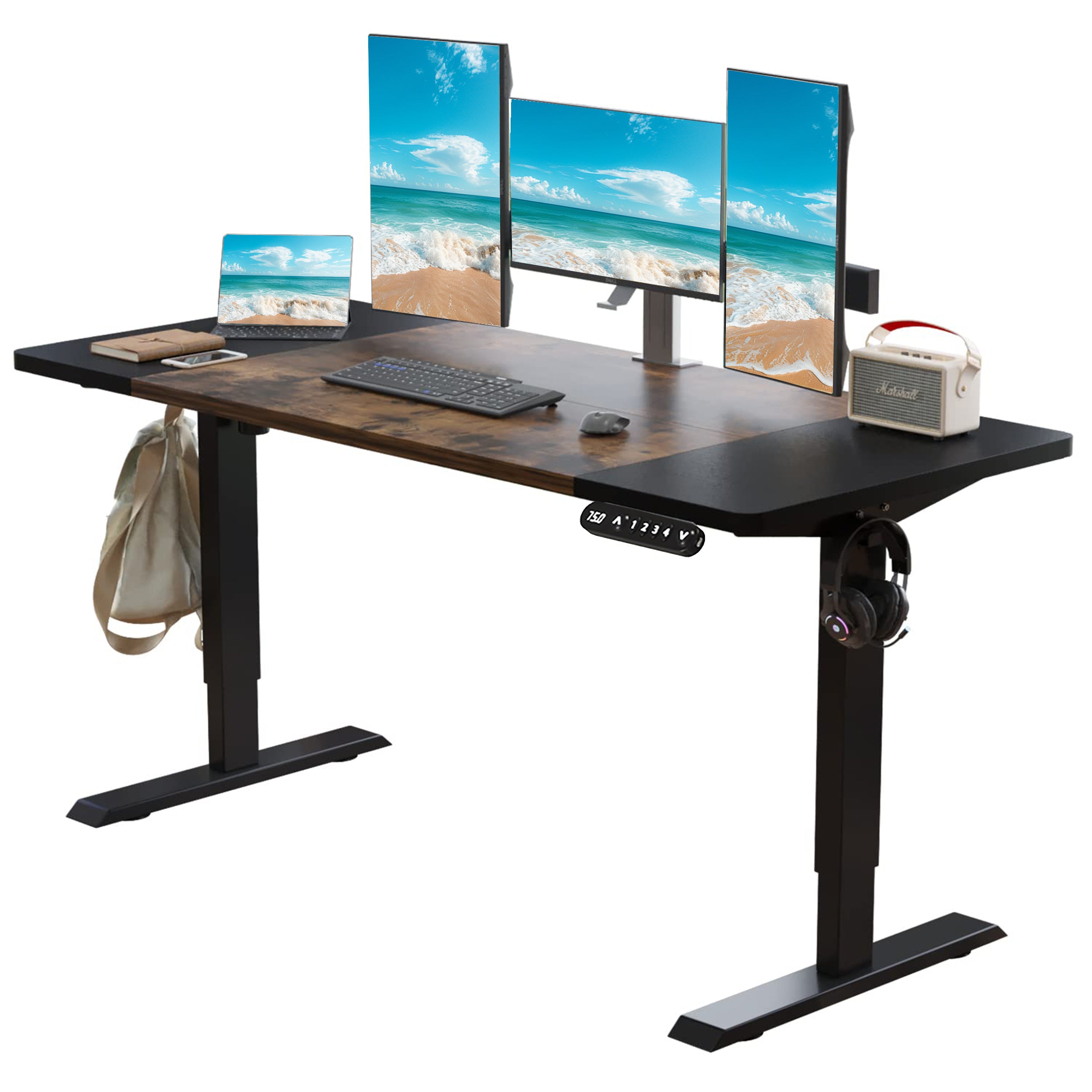 Arvo 63" Electric Standing Desk with with Dual-Tone Desktop