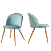Zomba Dining Chairs, Set of 2, Perfect for Contemporary Spaces-HOMY CASA