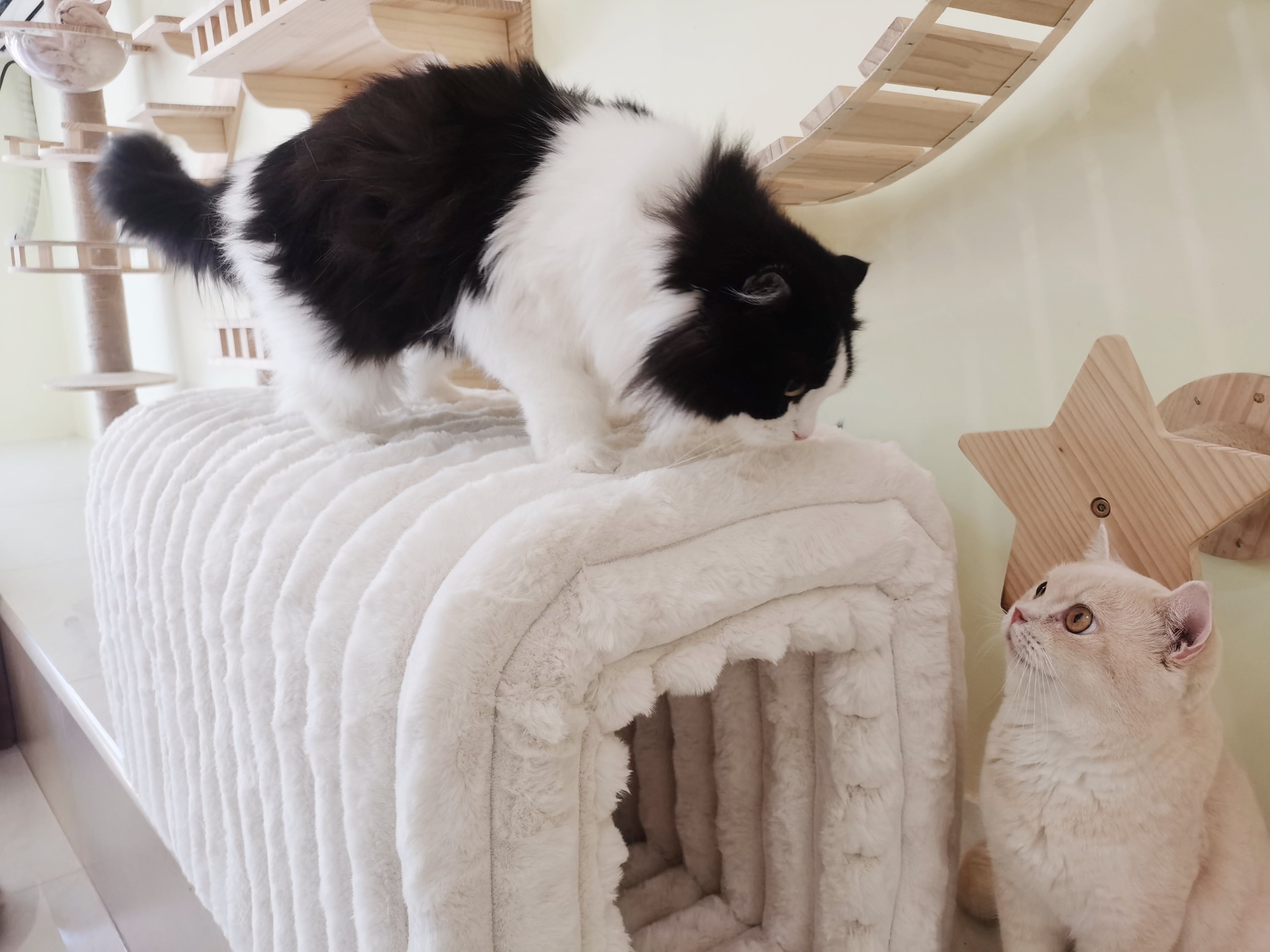 Aros Corduroy Storage Ottoman Bench with Cat Tunnels