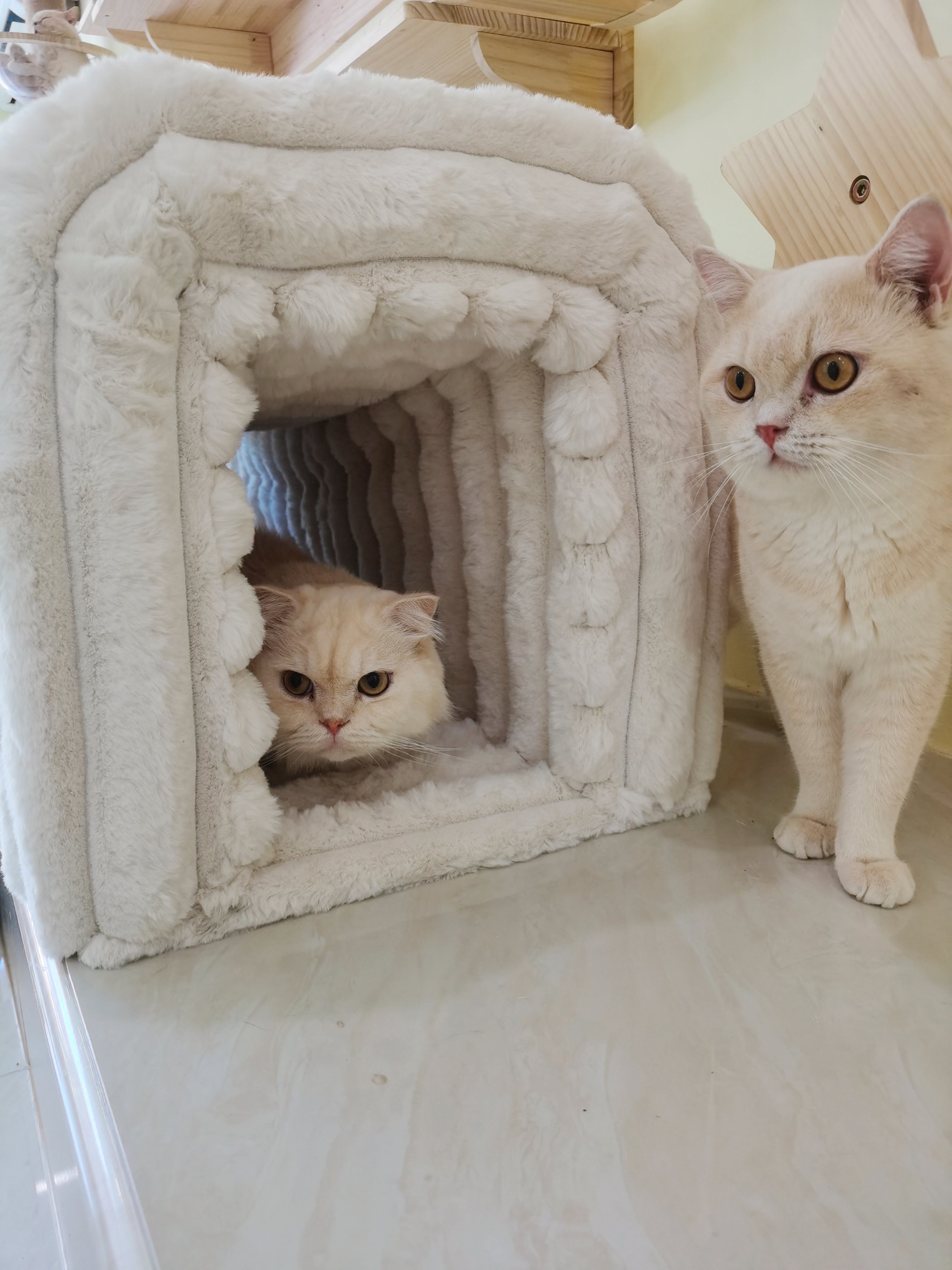 Aros Corduroy Storage Ottoman Bench with Cat Tunnels