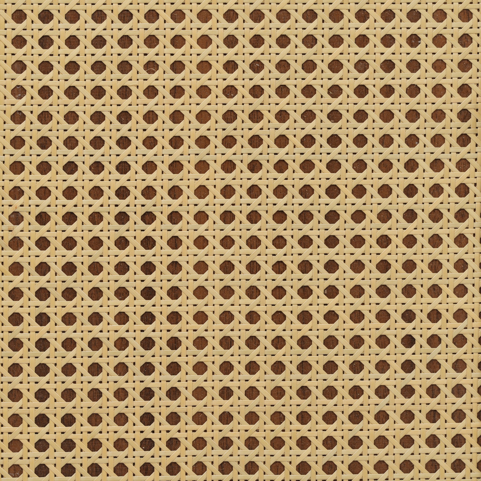 2605010000050_media_20
