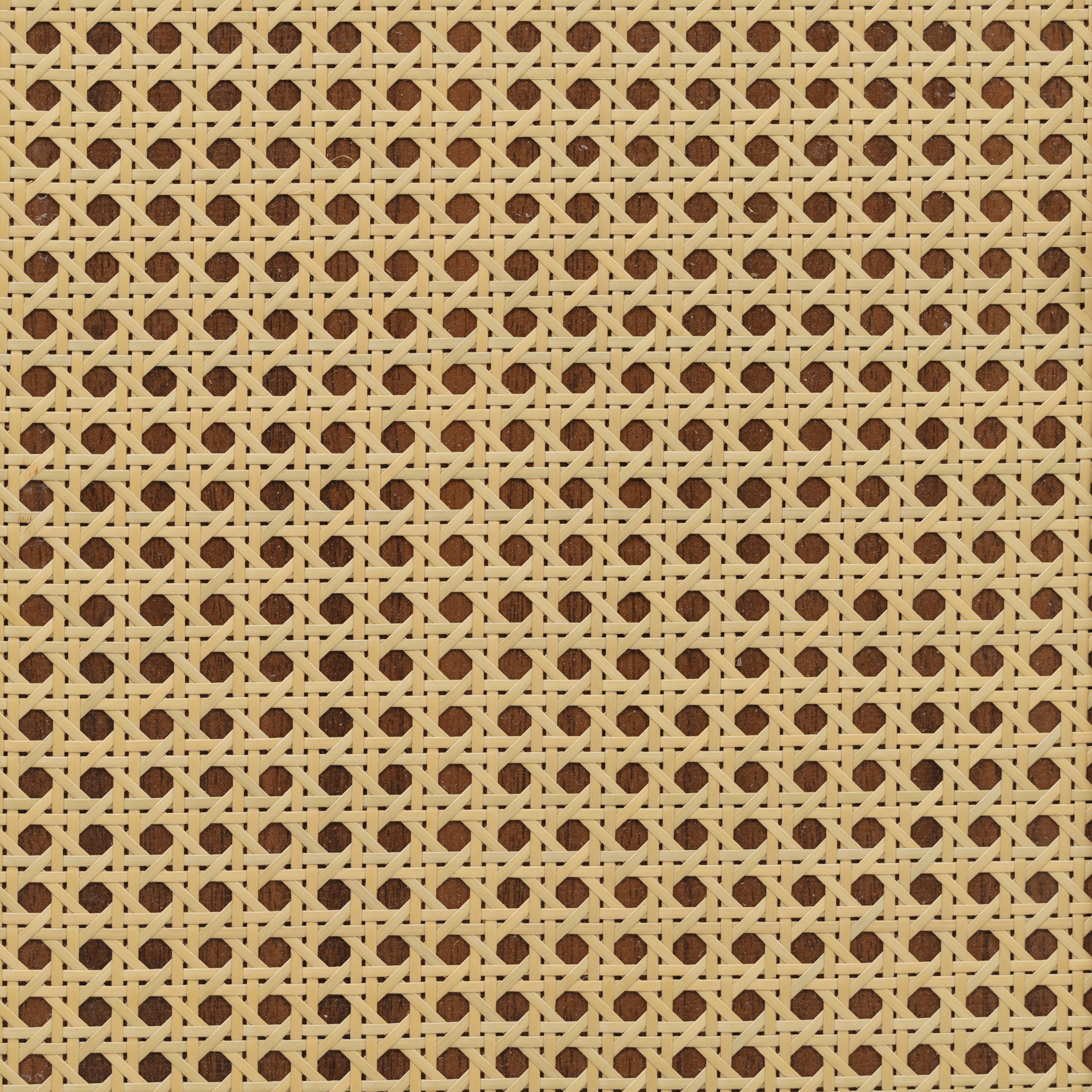2605010000050_media_20
