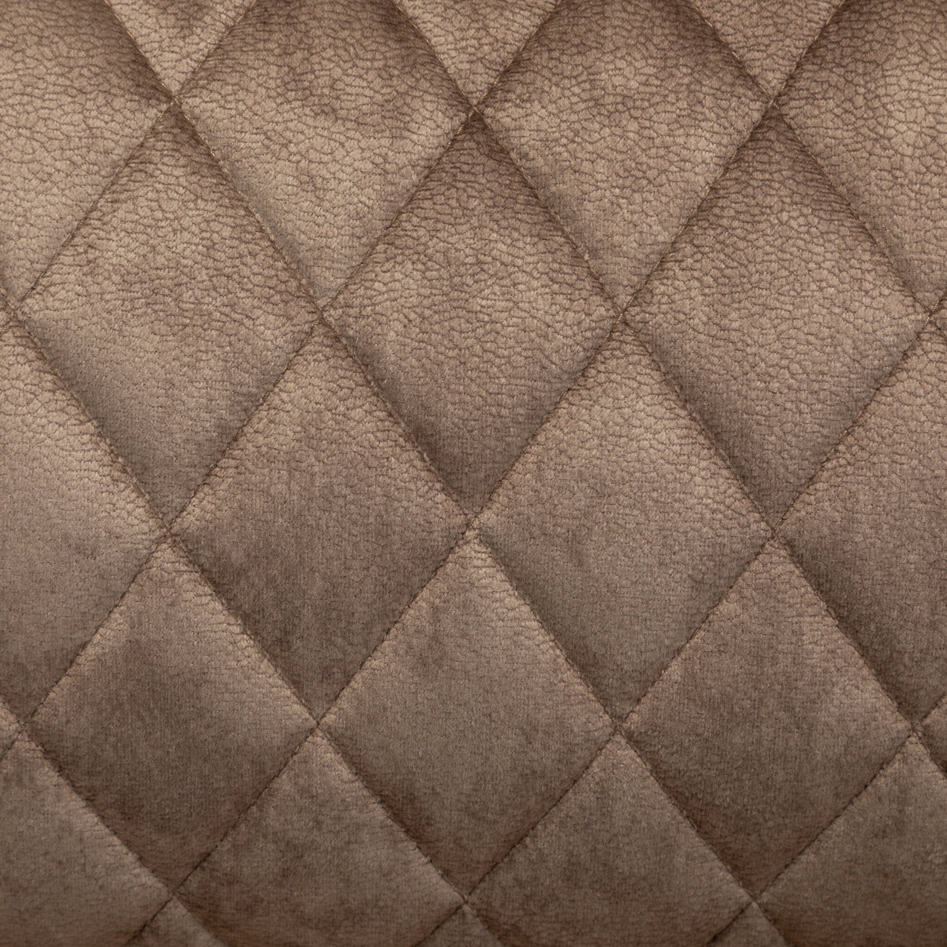 W547S00025_media_19