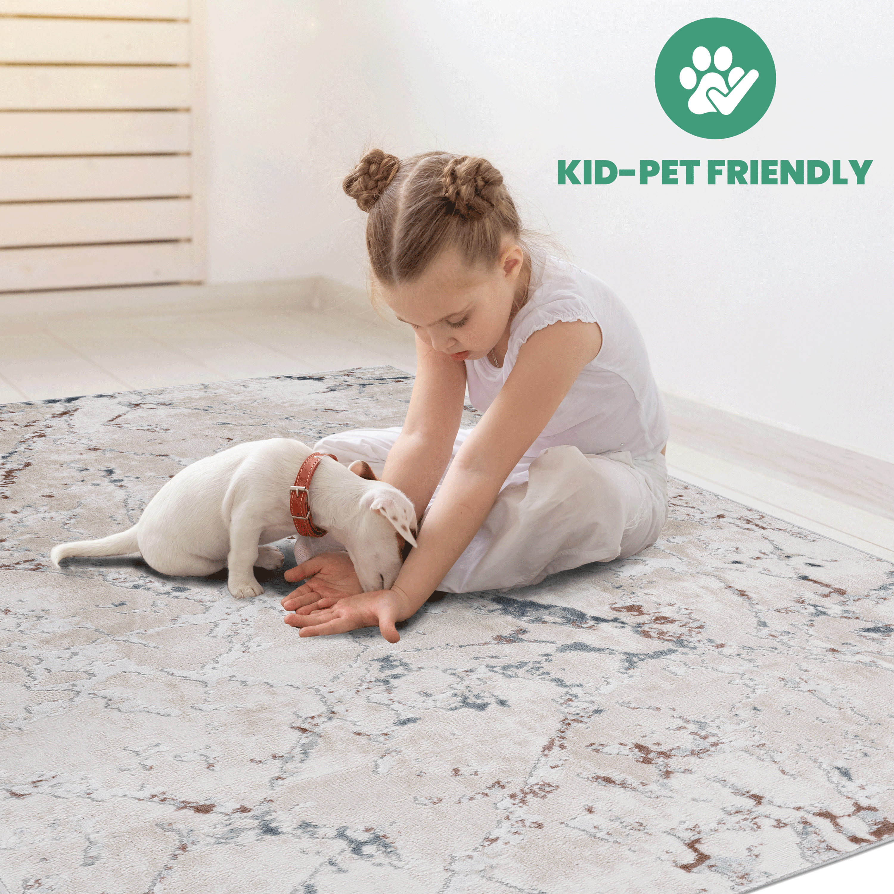 Sage Contemporary Area Rug