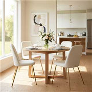 Zanka Modern Velvet Dining Chair Set of 2 in White Color