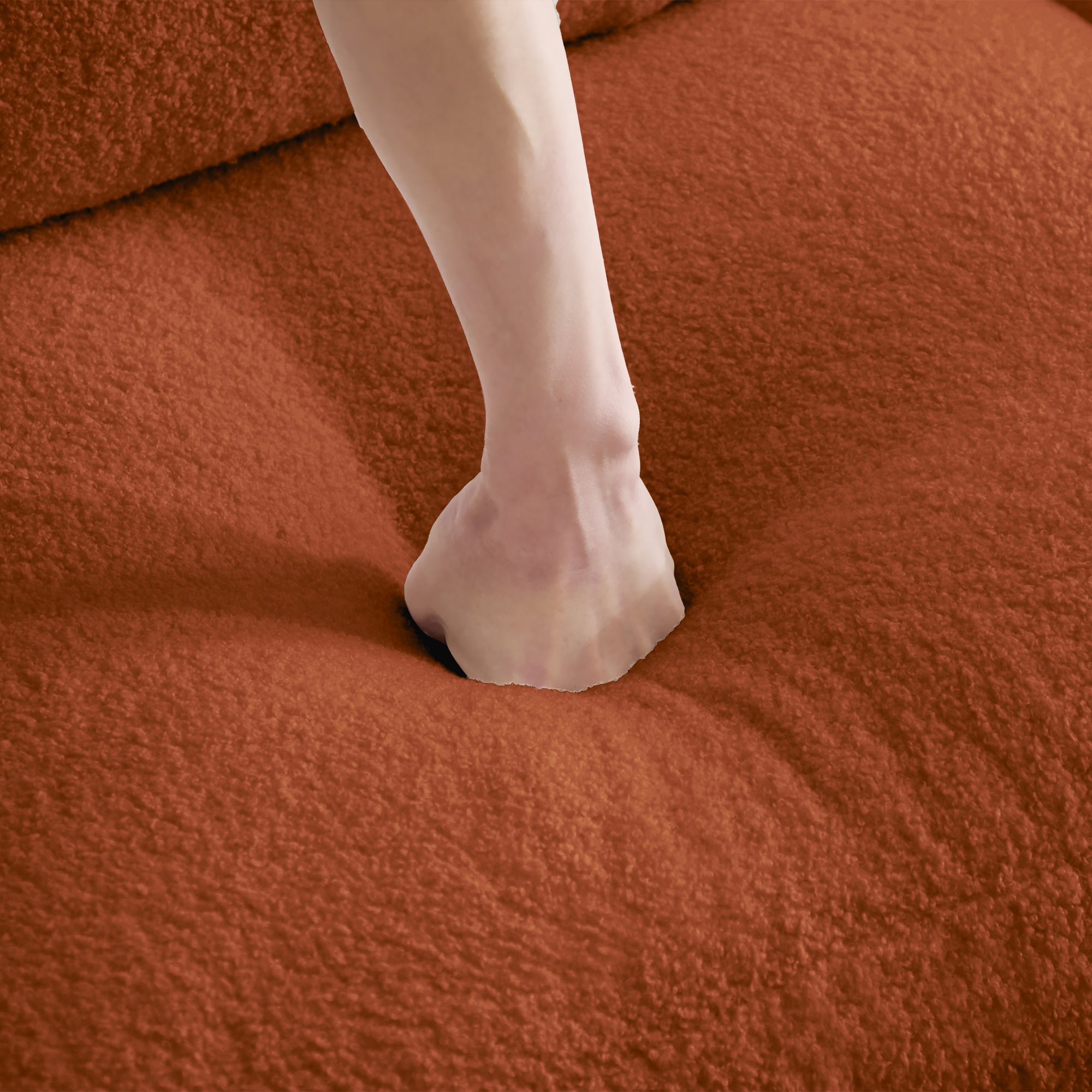 2604100000609_media_2