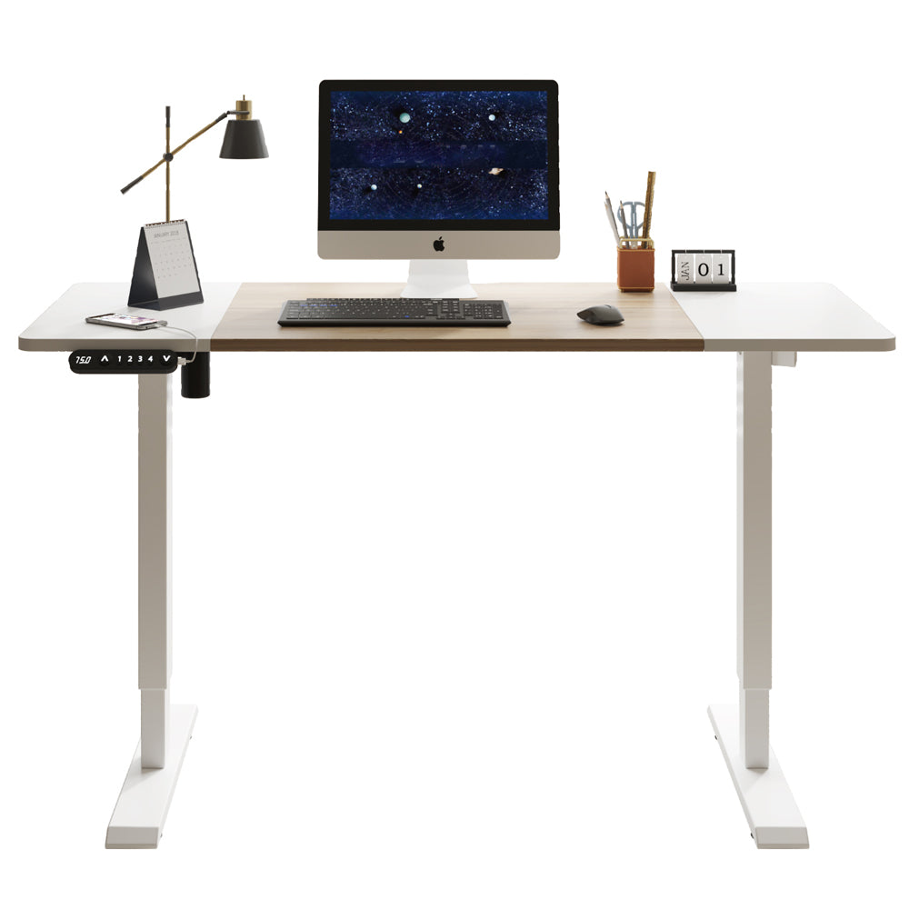 Arvo 55" Electric Standing Desk Computer Desk