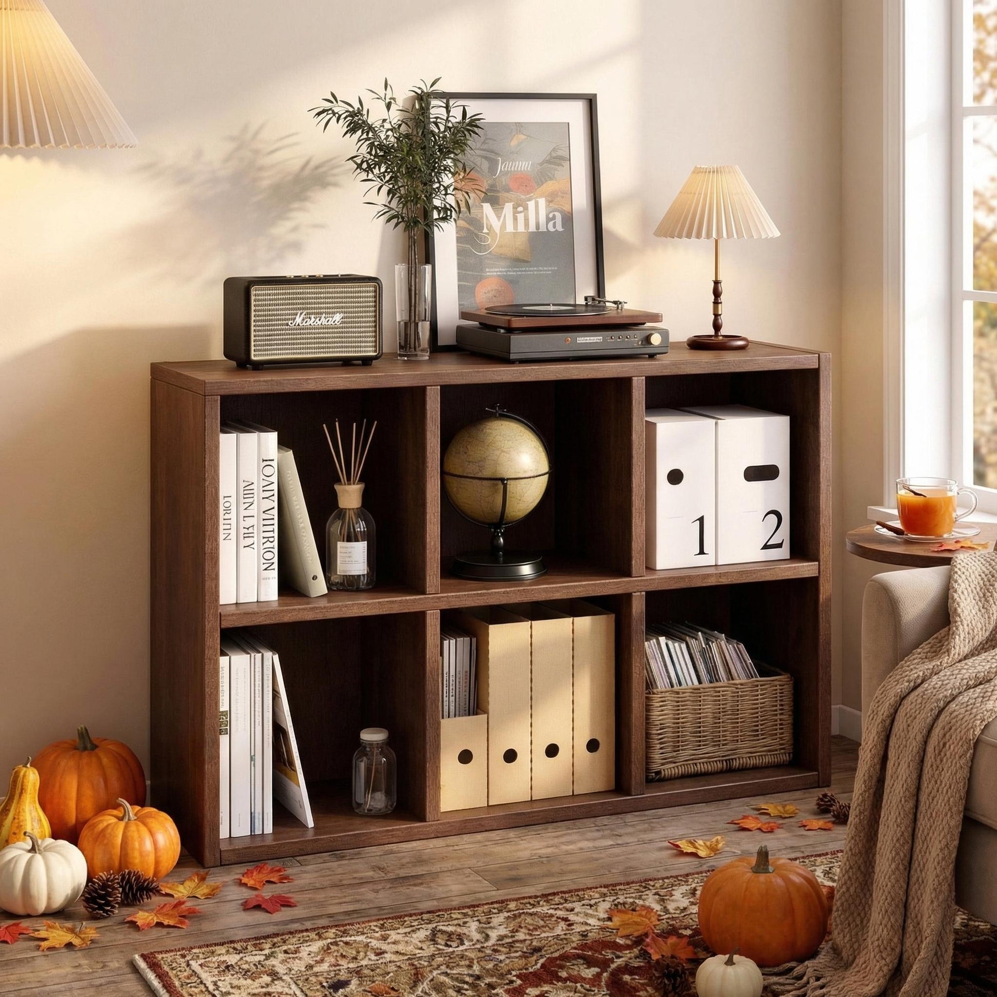 Lyceum walnut bookcase showing styled shelving with decorative items