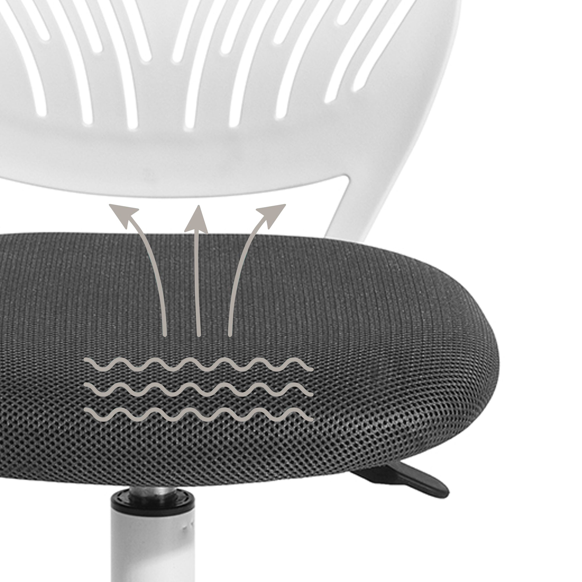Carnation PP Backrest Office Chair - Stylish & Durable Design