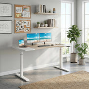 Arvo 63" Dual Motor Electric Standing Desk with Curved Desktop