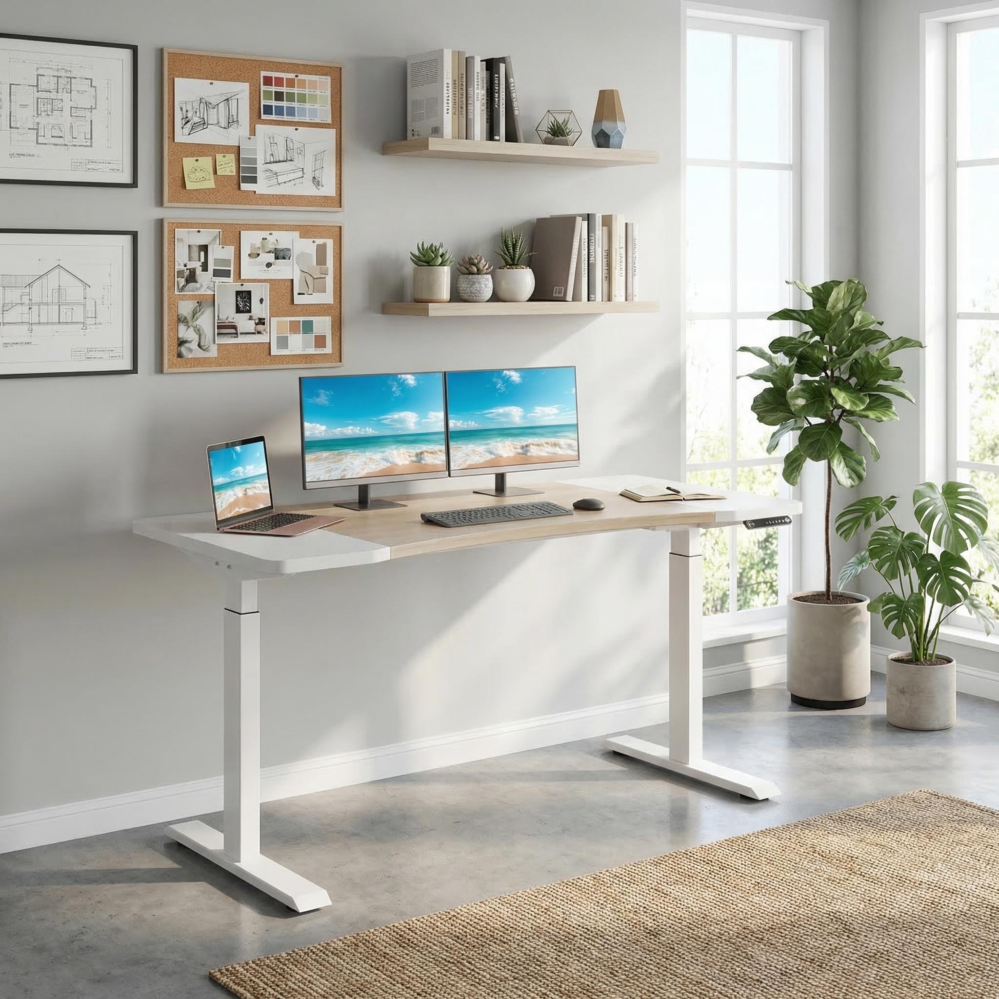 Arvo 63" Dual Motor Electric Standing Desk with Curved Desktop