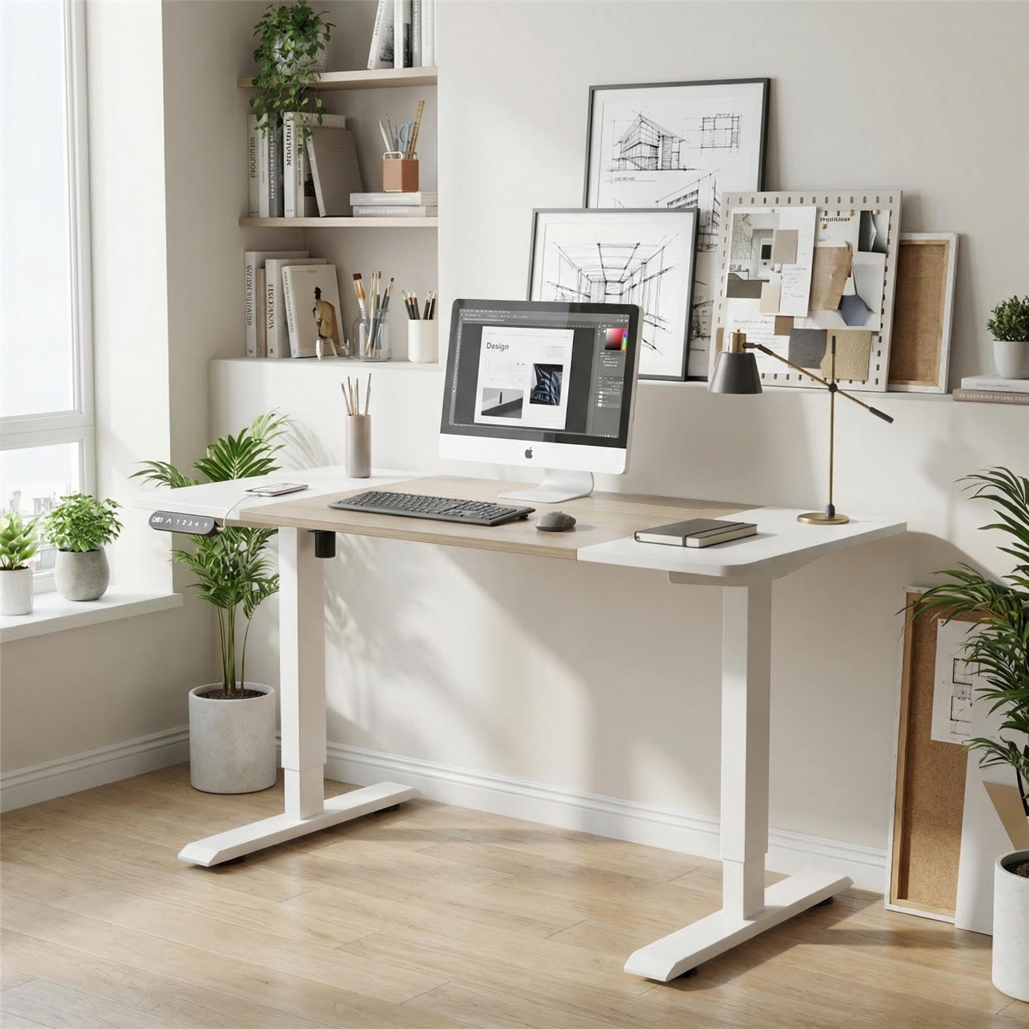 Arvo 55" Electric Standing Desk Computer Desk