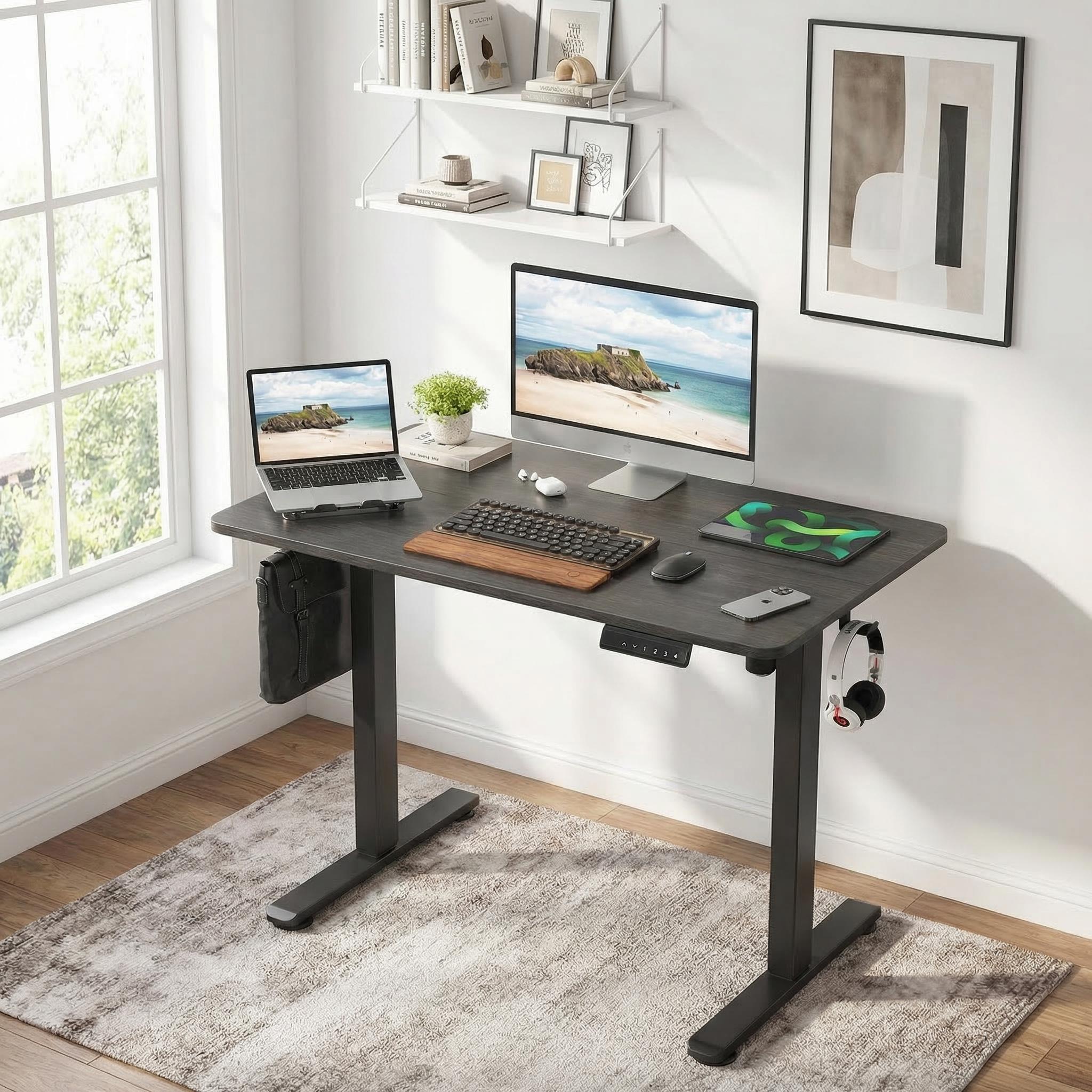 Nexo 40.5" Electric Standing Desk Computer Desk